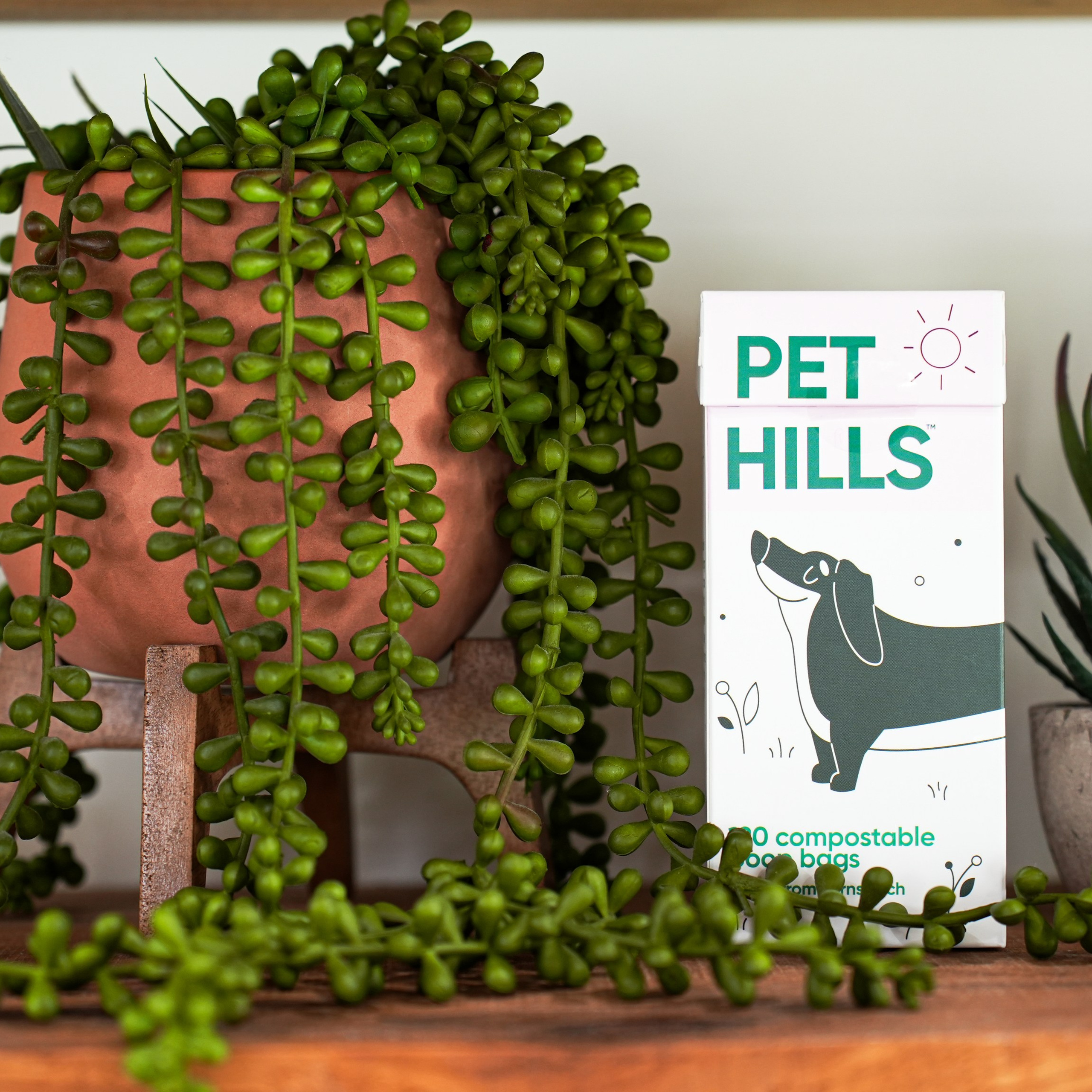 Testimonials. CameraStan