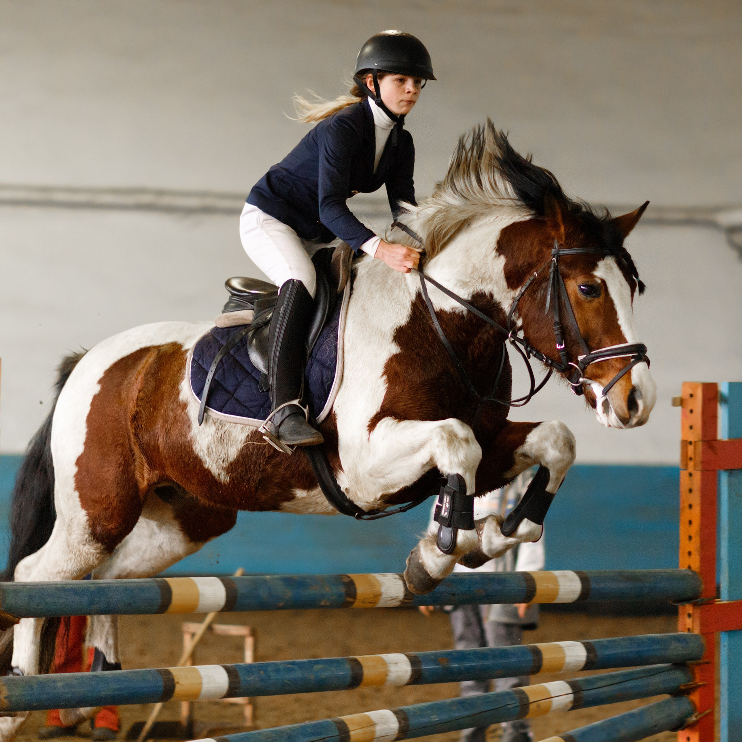 Winter show jumping in «Progress»