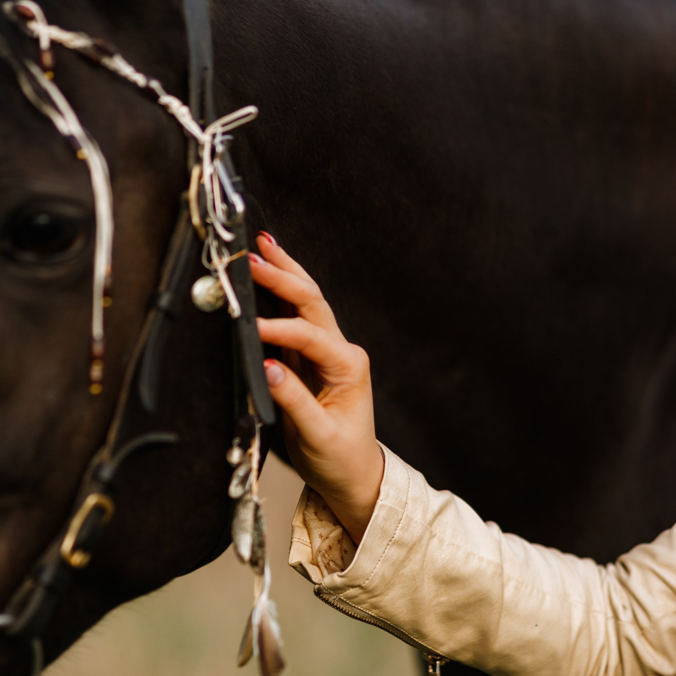 Victoria & her horses, autumn