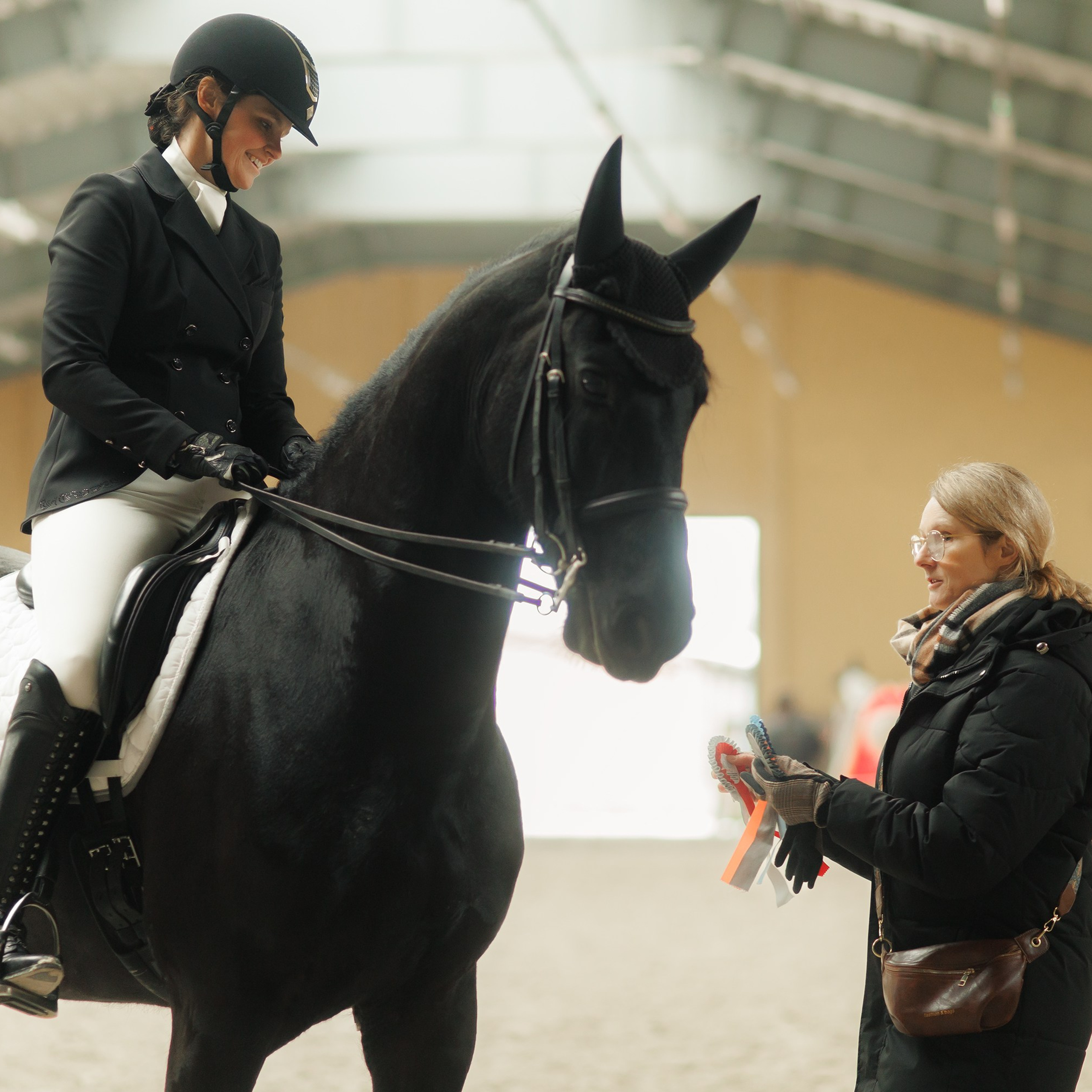 Dressage competition \ Partynice, 23 feb