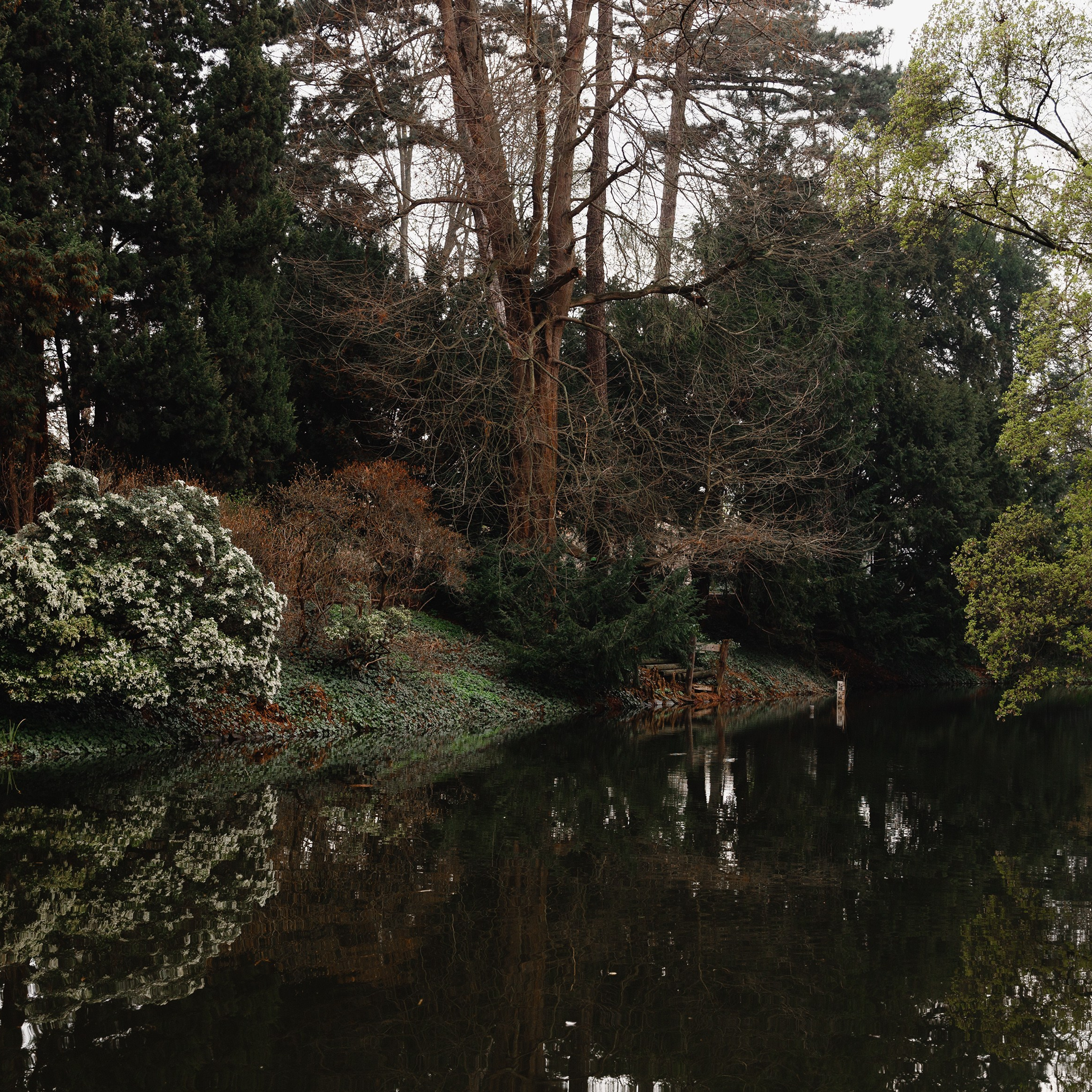 Botanical garden in Wroclaw