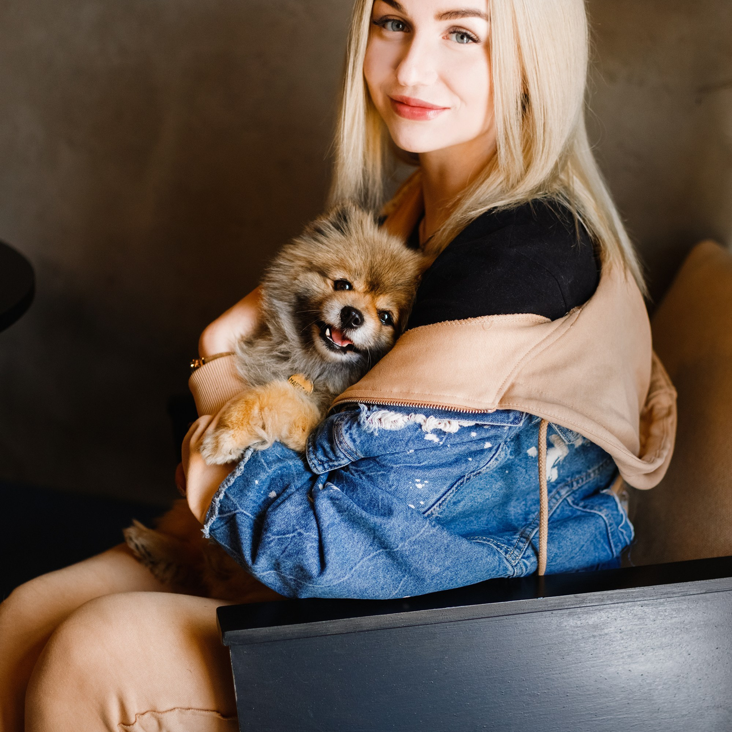 Dog trainer blog content