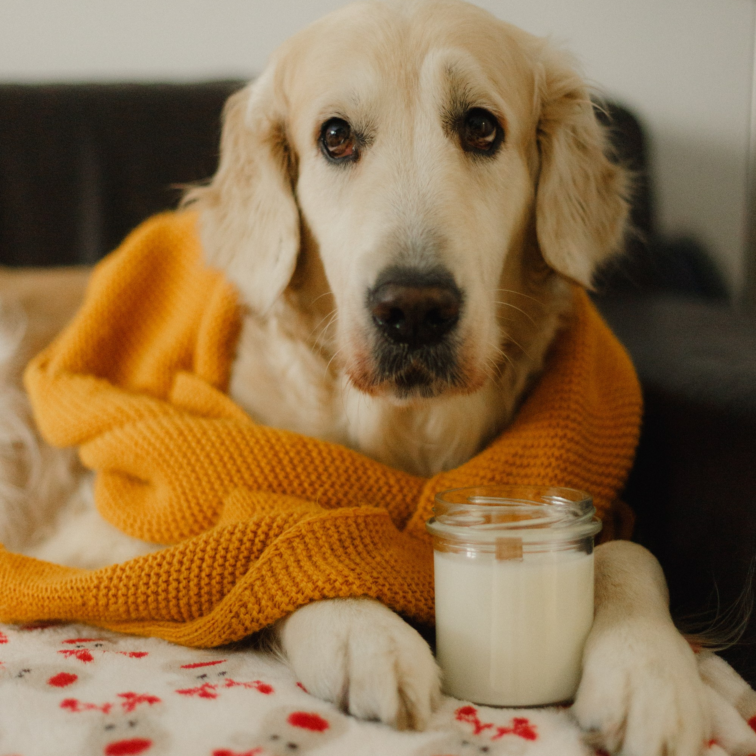 Candles | insta content