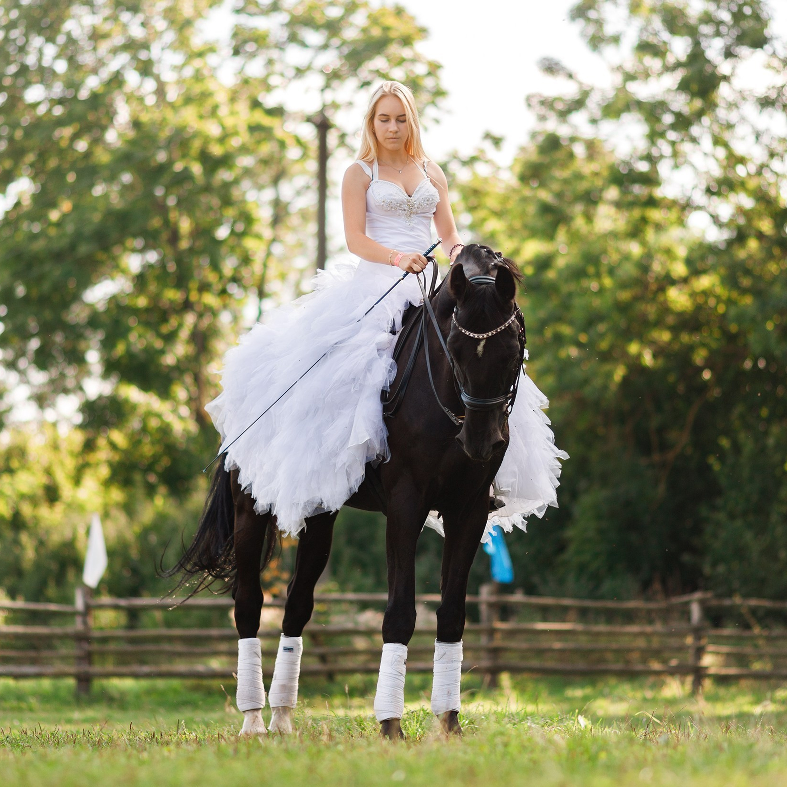 Horse show in the village
