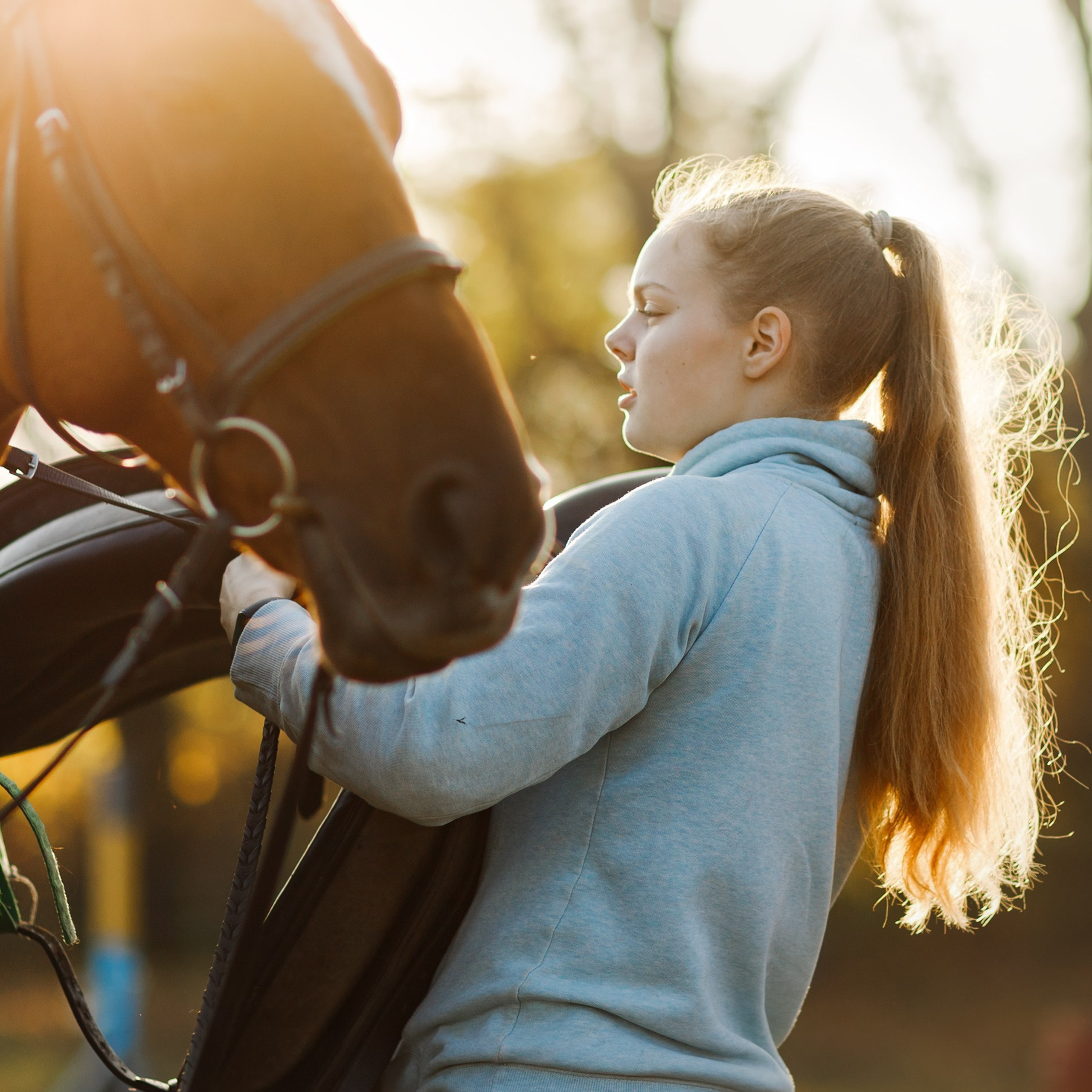 Autumn equestrian training
