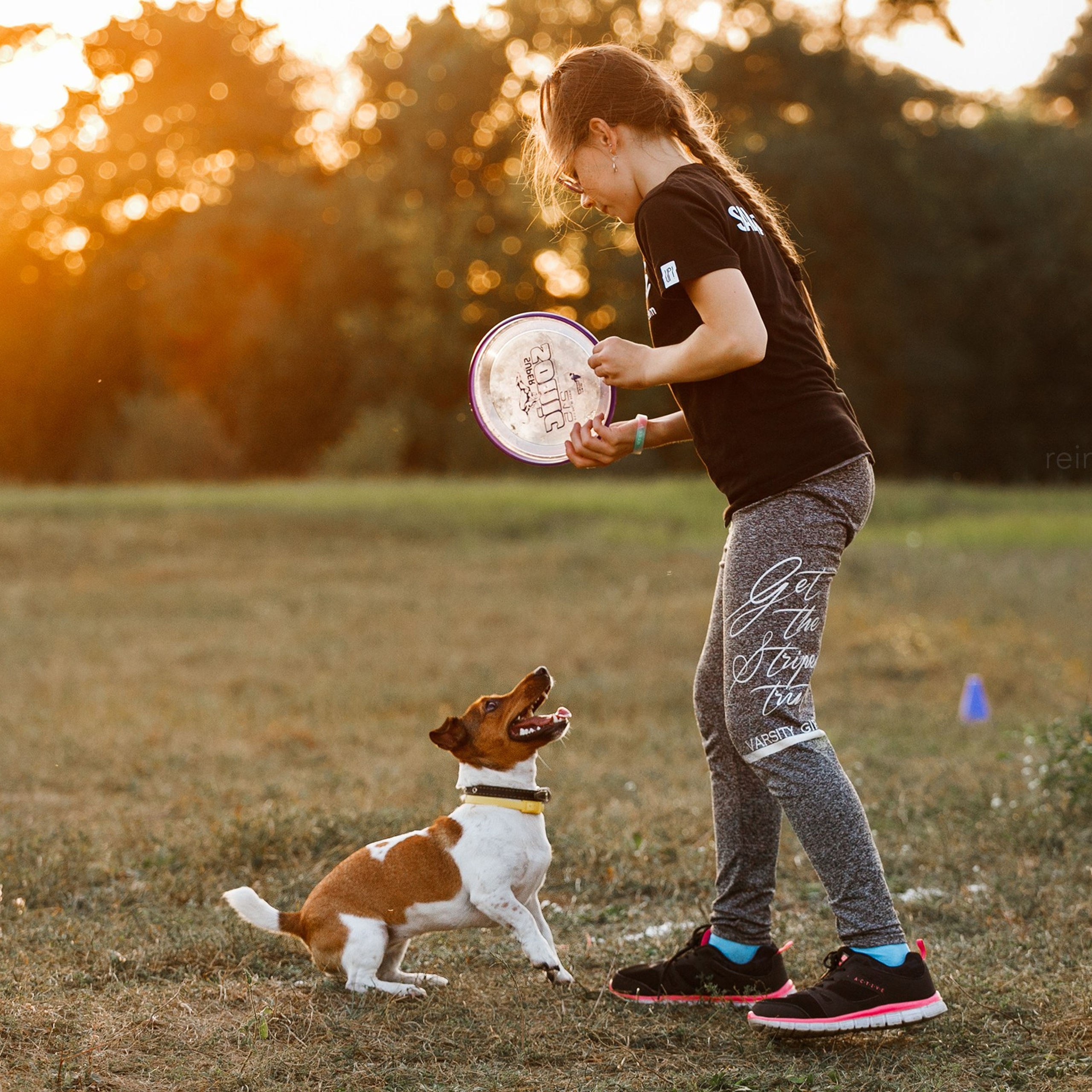 Frisbee training at sunset | summer