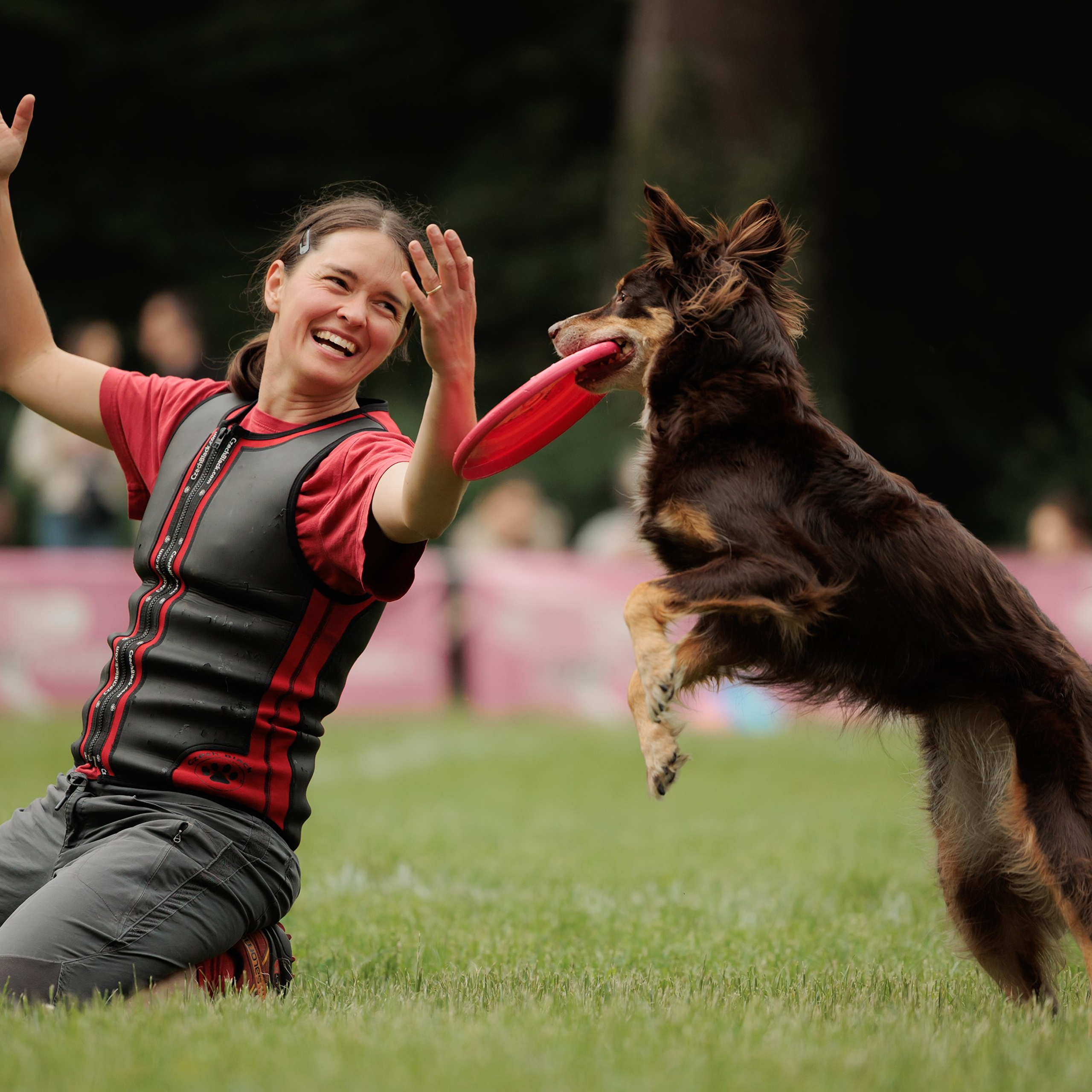 Latające psy, Wrocław'25