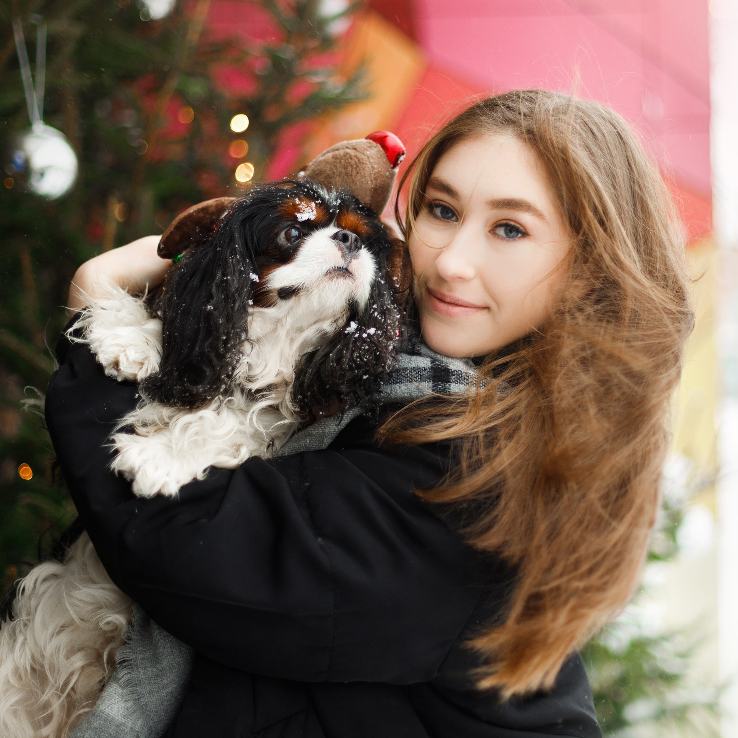 Uliana & winter spaniels