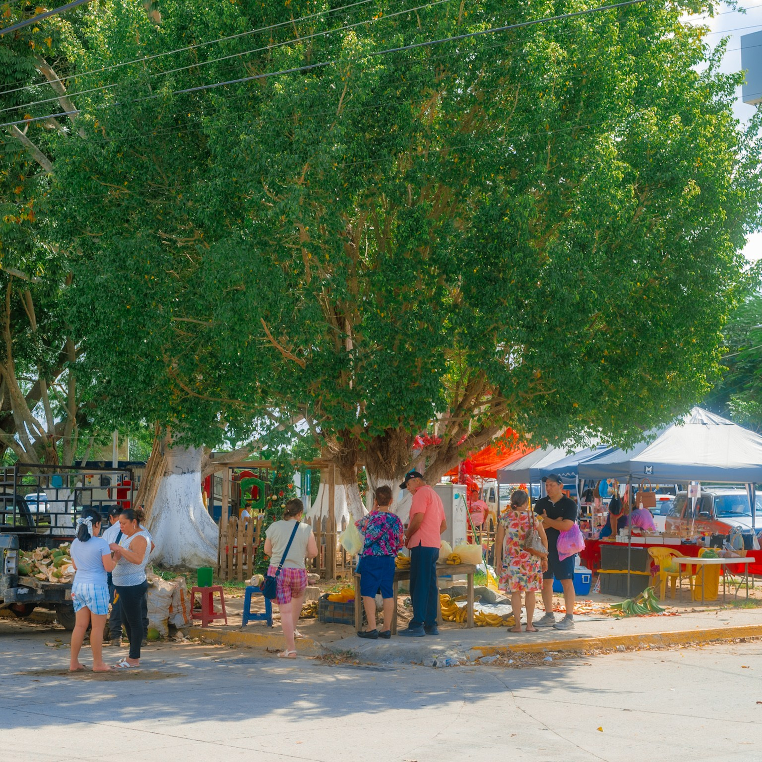 Estrellas de Buena Vista, Tabasco