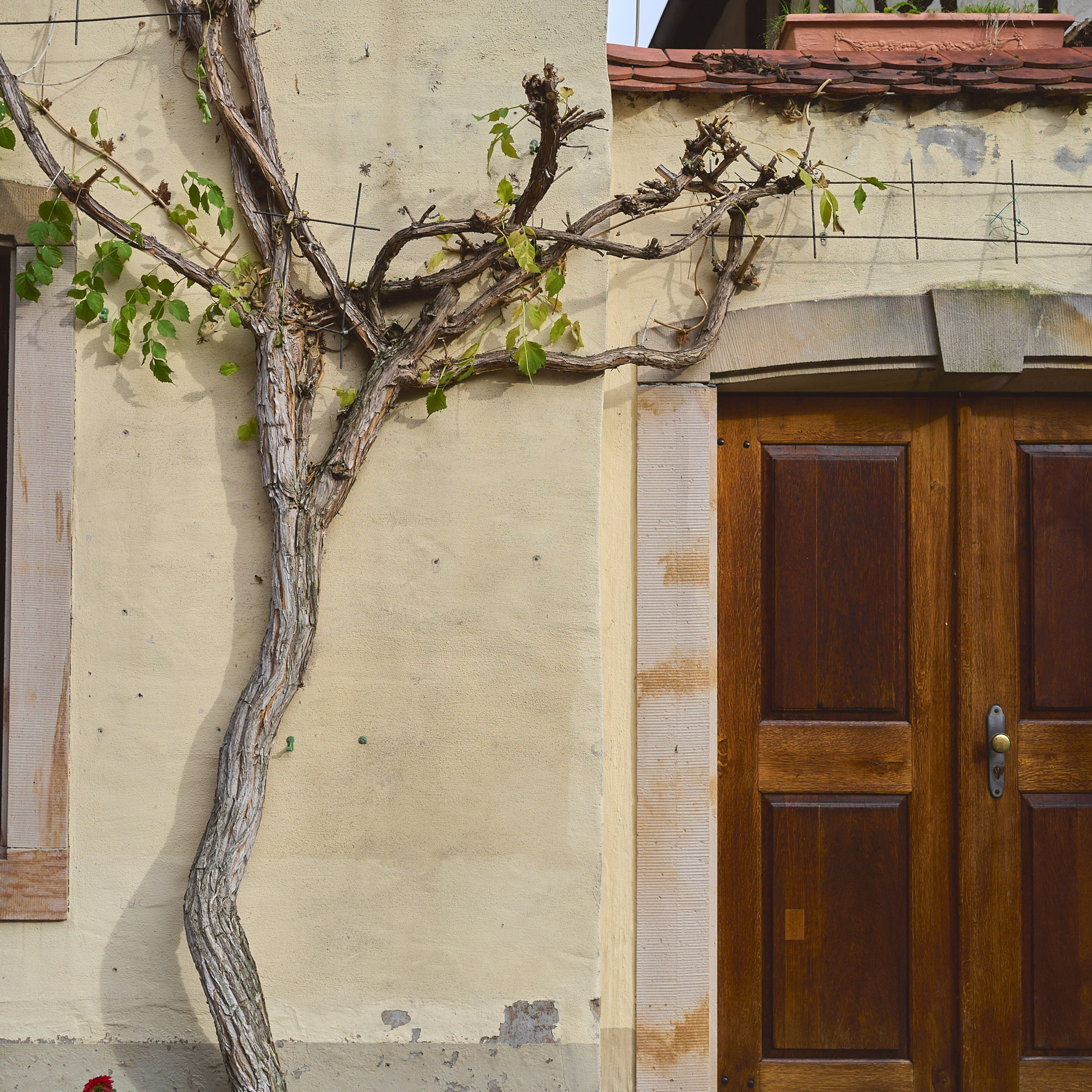 Aleksandr Steinbrenner | Streetfotografie