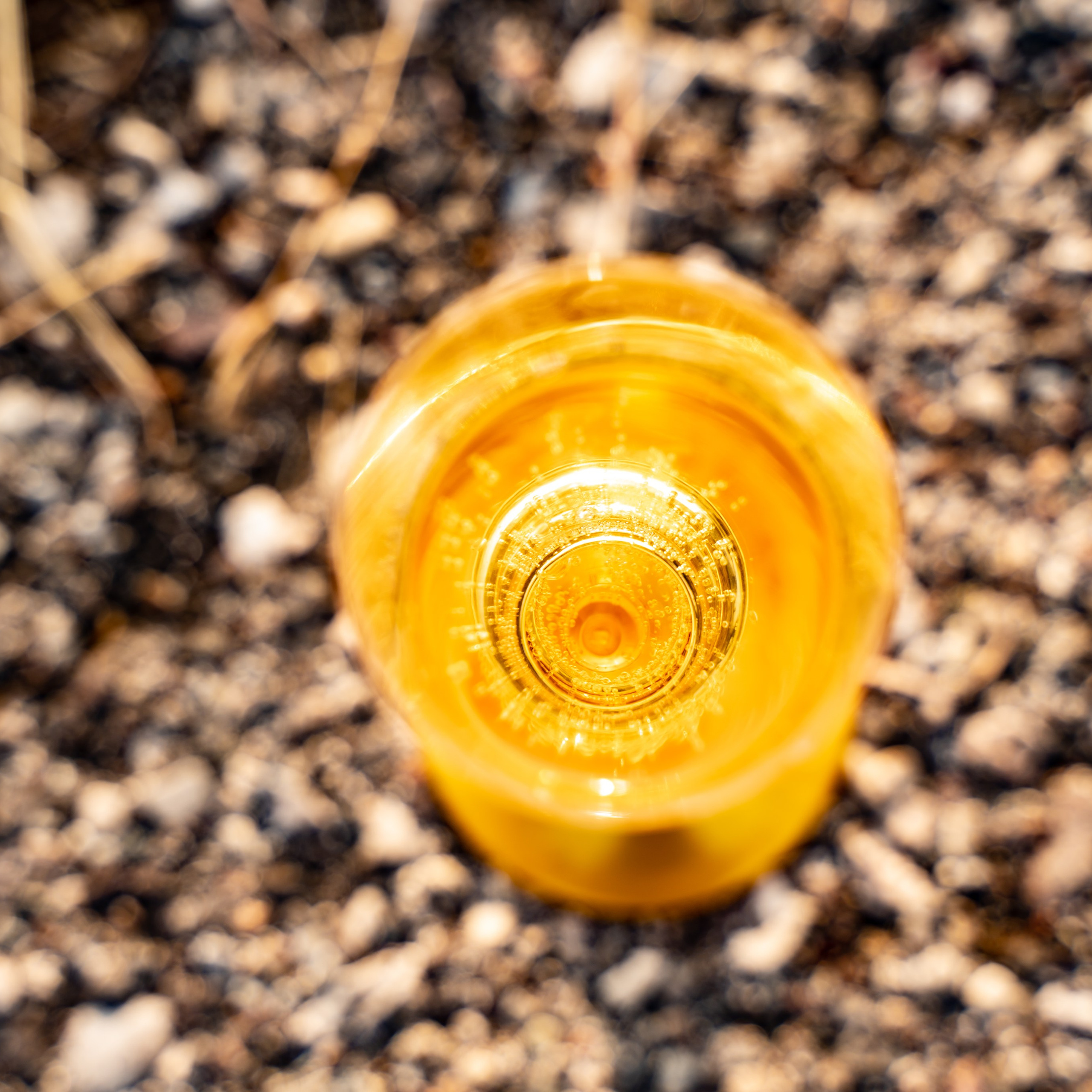 Valentina & Alex. Luximagepro.com