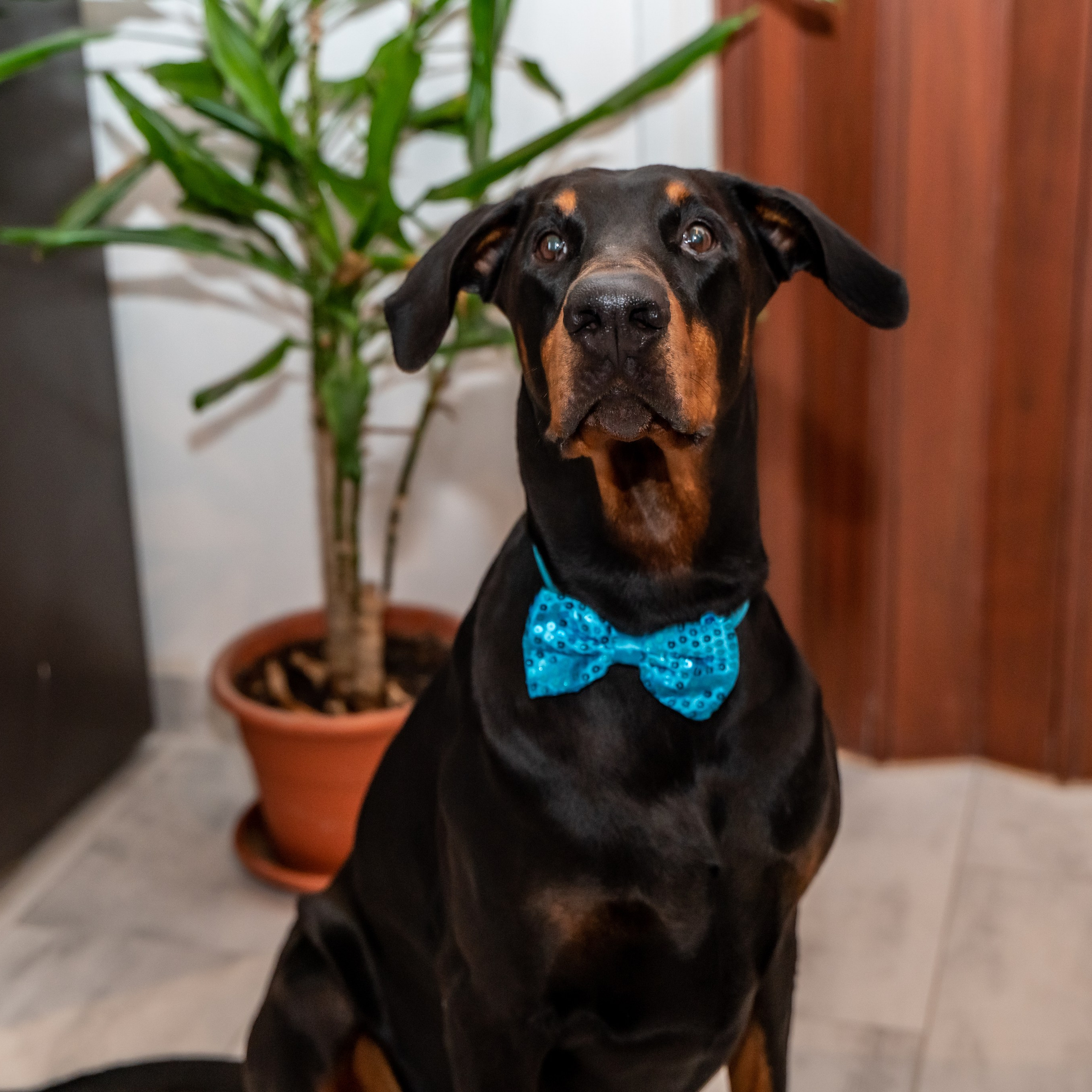 Valentina & Alex. Luximagepro.com