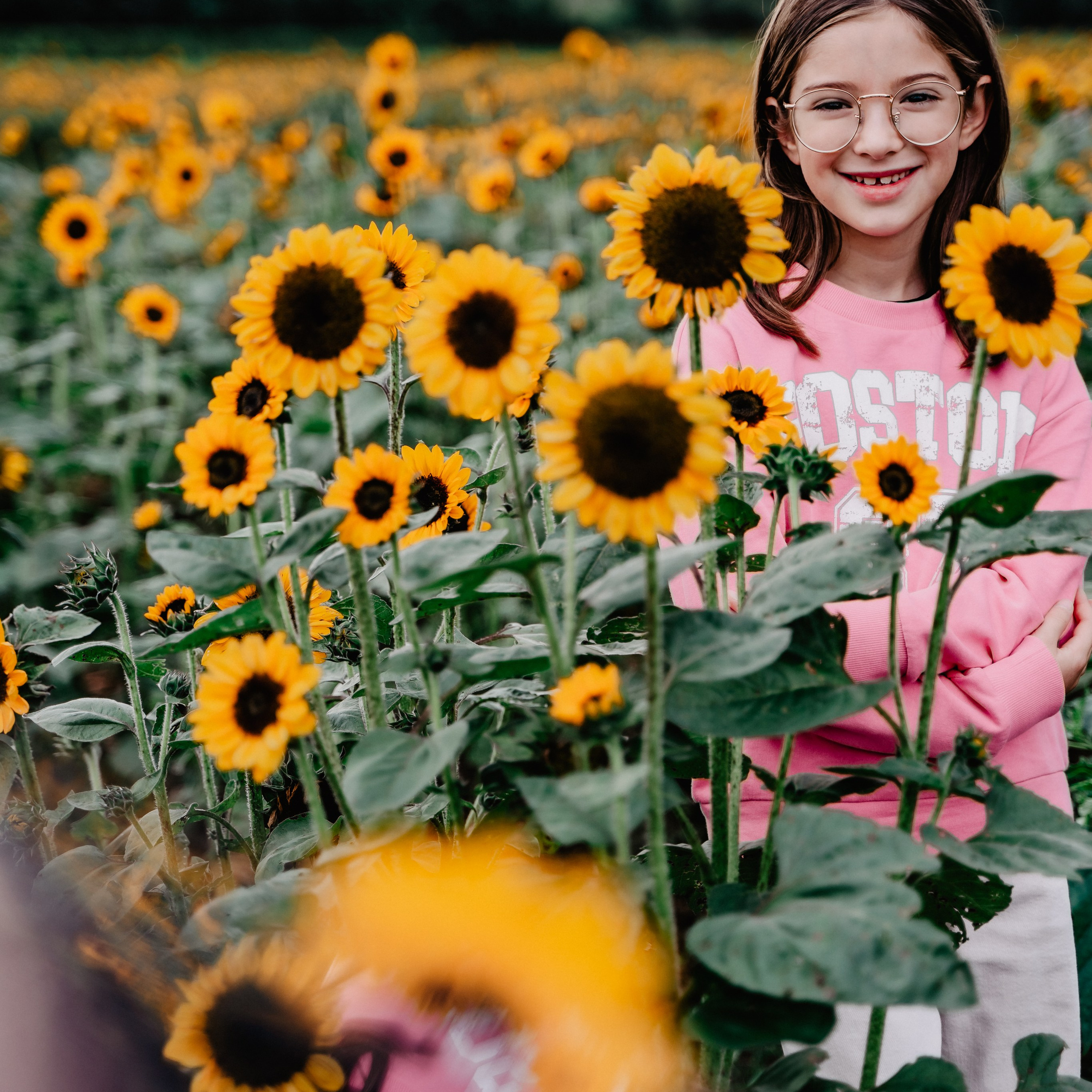 Asia. Luximagepro.com