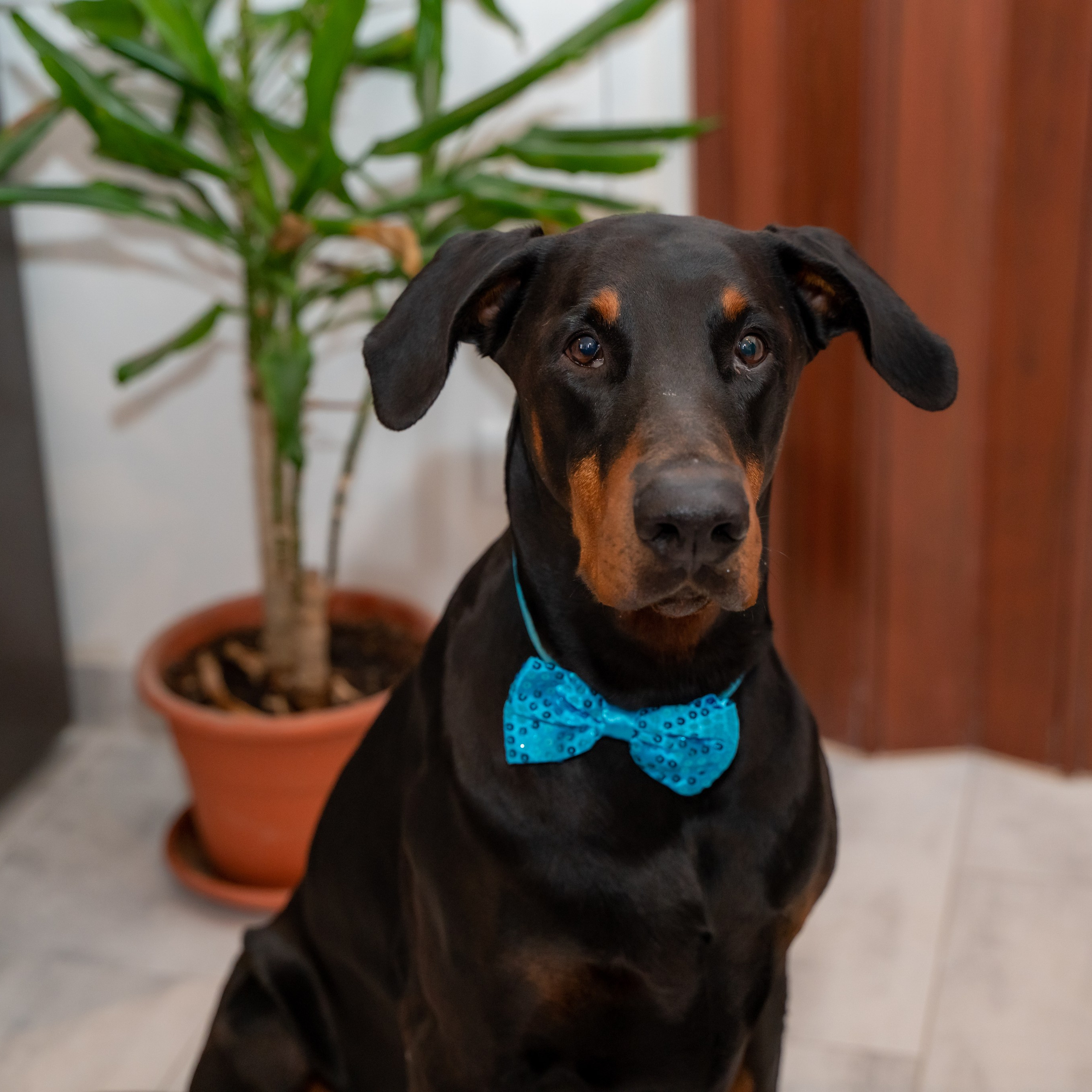 Valentina & Alex. Luximagepro.com