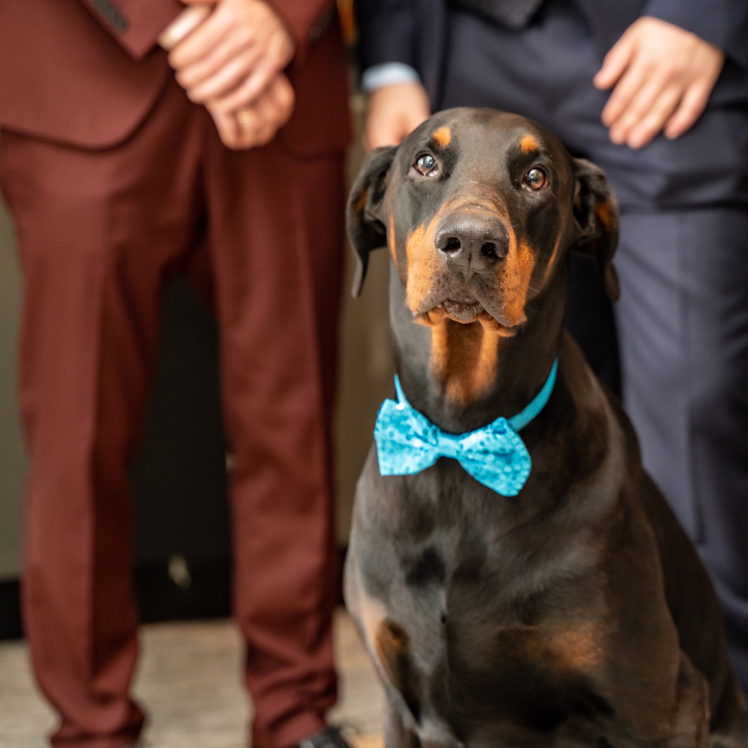 Valentina & Alex. Luximagepro.com