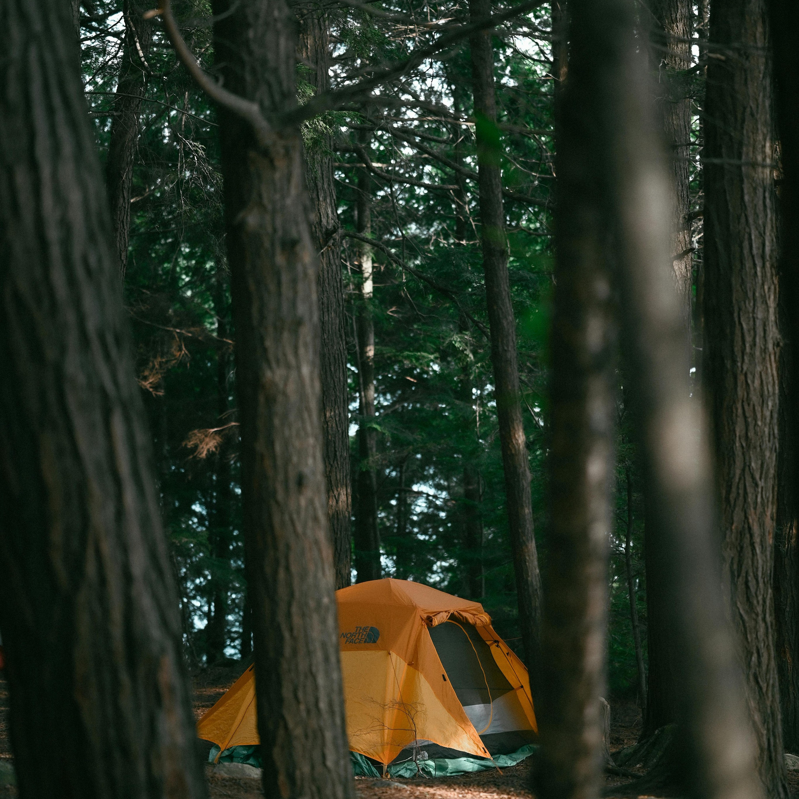 Video Camp ar nakšņošanu. Video shooting and creating with phone, iPhone Video School