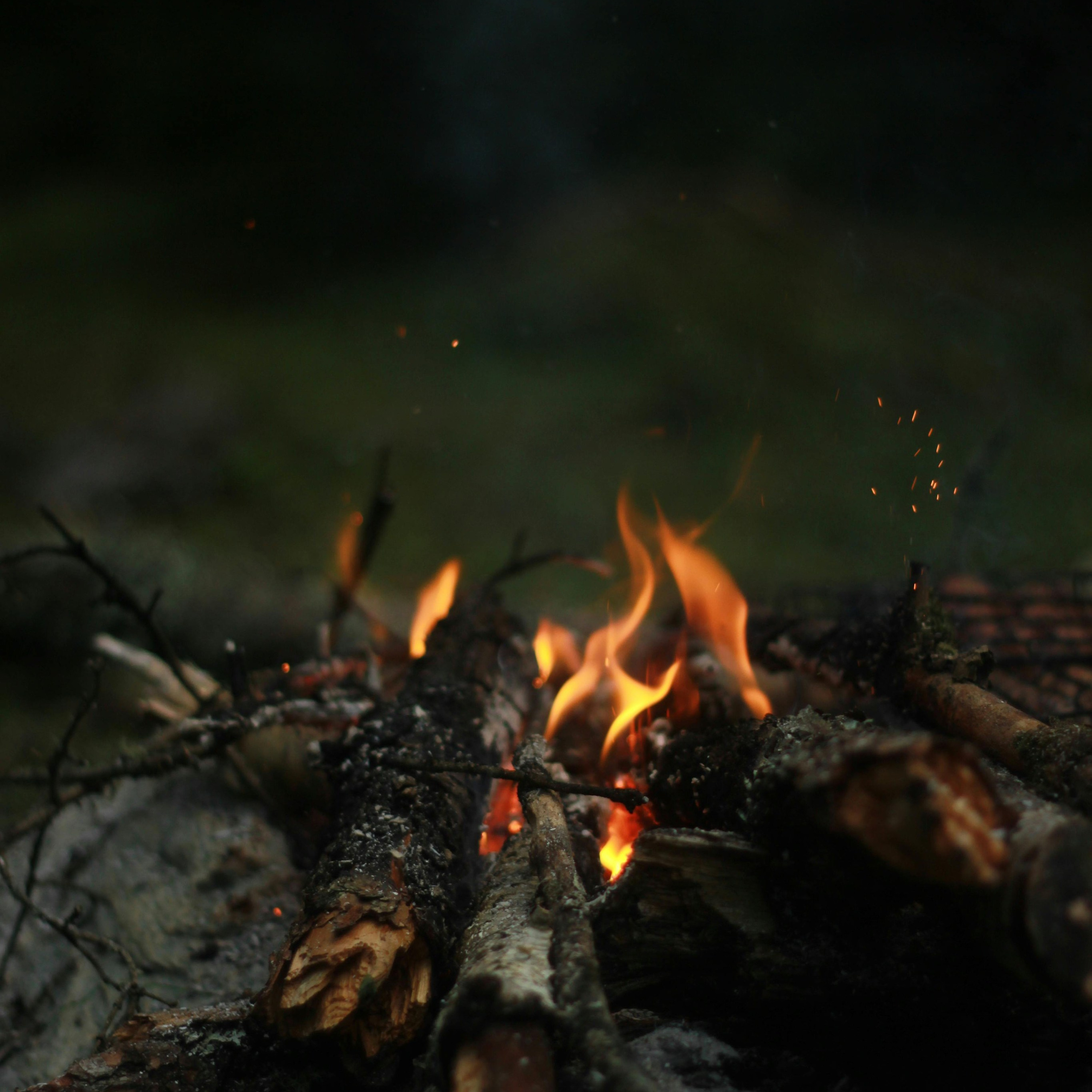 Velo video camp ar nakšņošanu. Video shooting and creating with phone, iPhone Video School