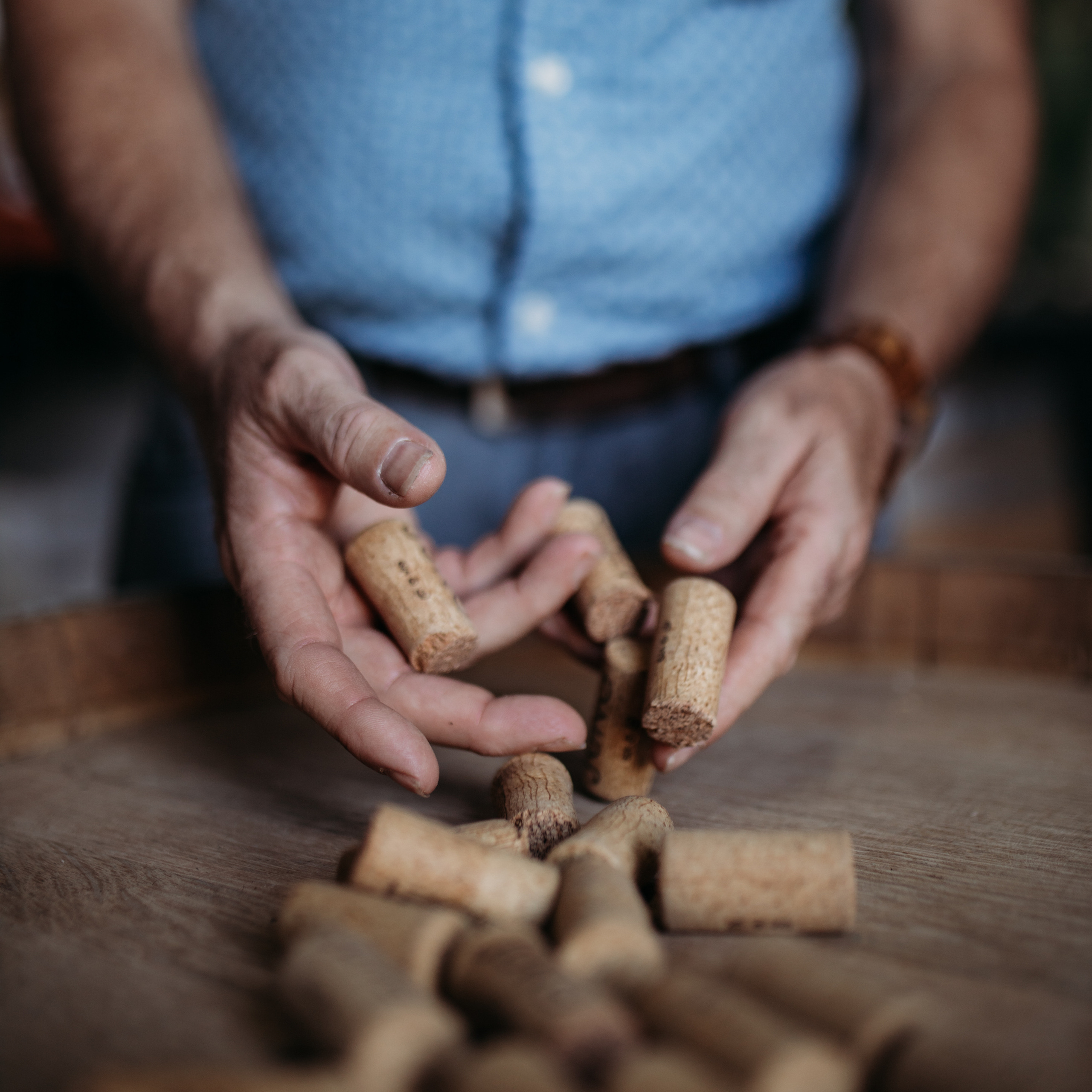 Beste Fotografin. Hochzeitsfotograf und Familienfotograf in Neustadt an der Weinstraße, Haßloch, Ludwigshafen, Speyer und Landau - Ekaterina Seoud