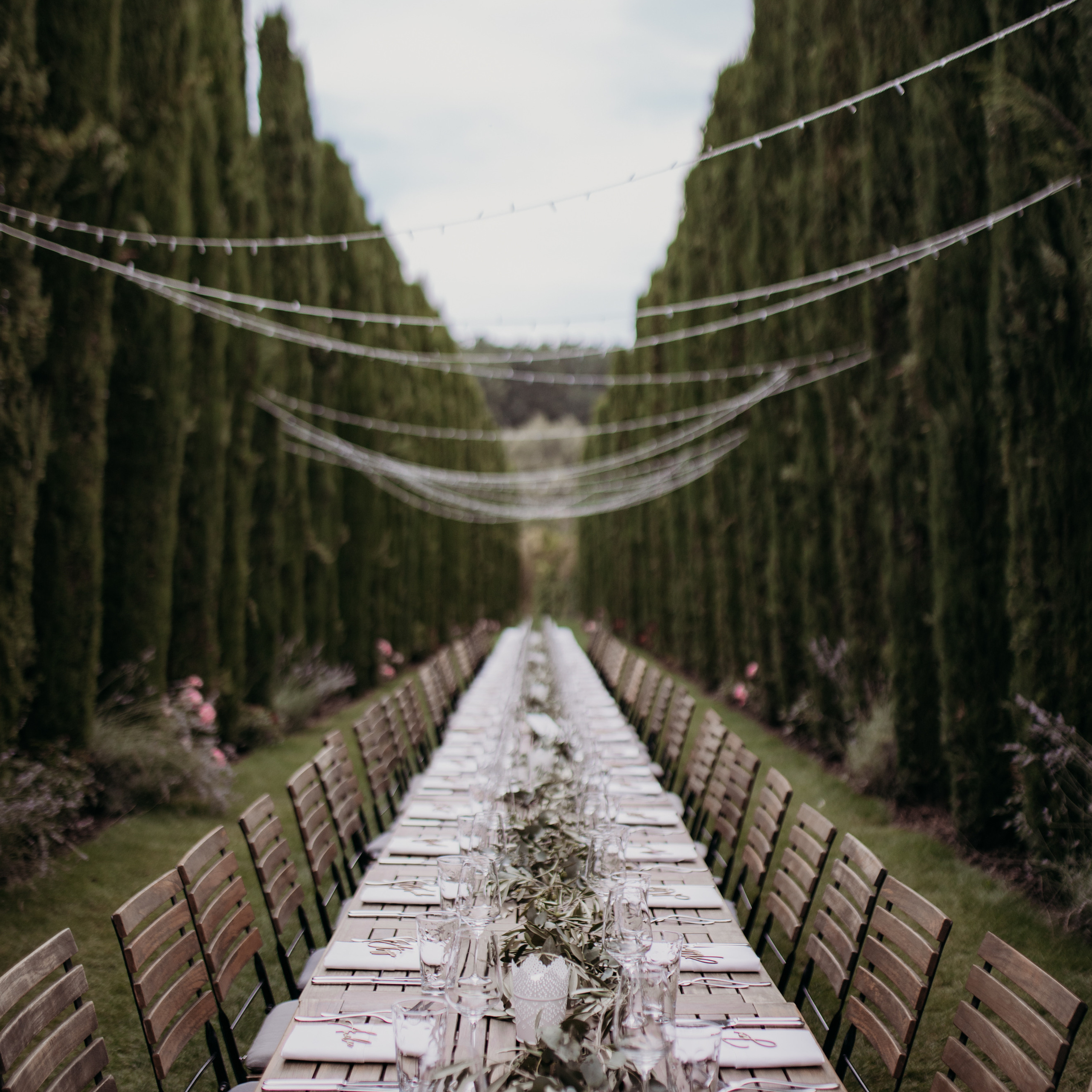 Beste Fotografin. Hochzeitsfotograf und Familienfotograf in Neustadt an der Weinstraße, Haßloch, Ludwigshafen, Speyer und Landau - Ekaterina Seoud