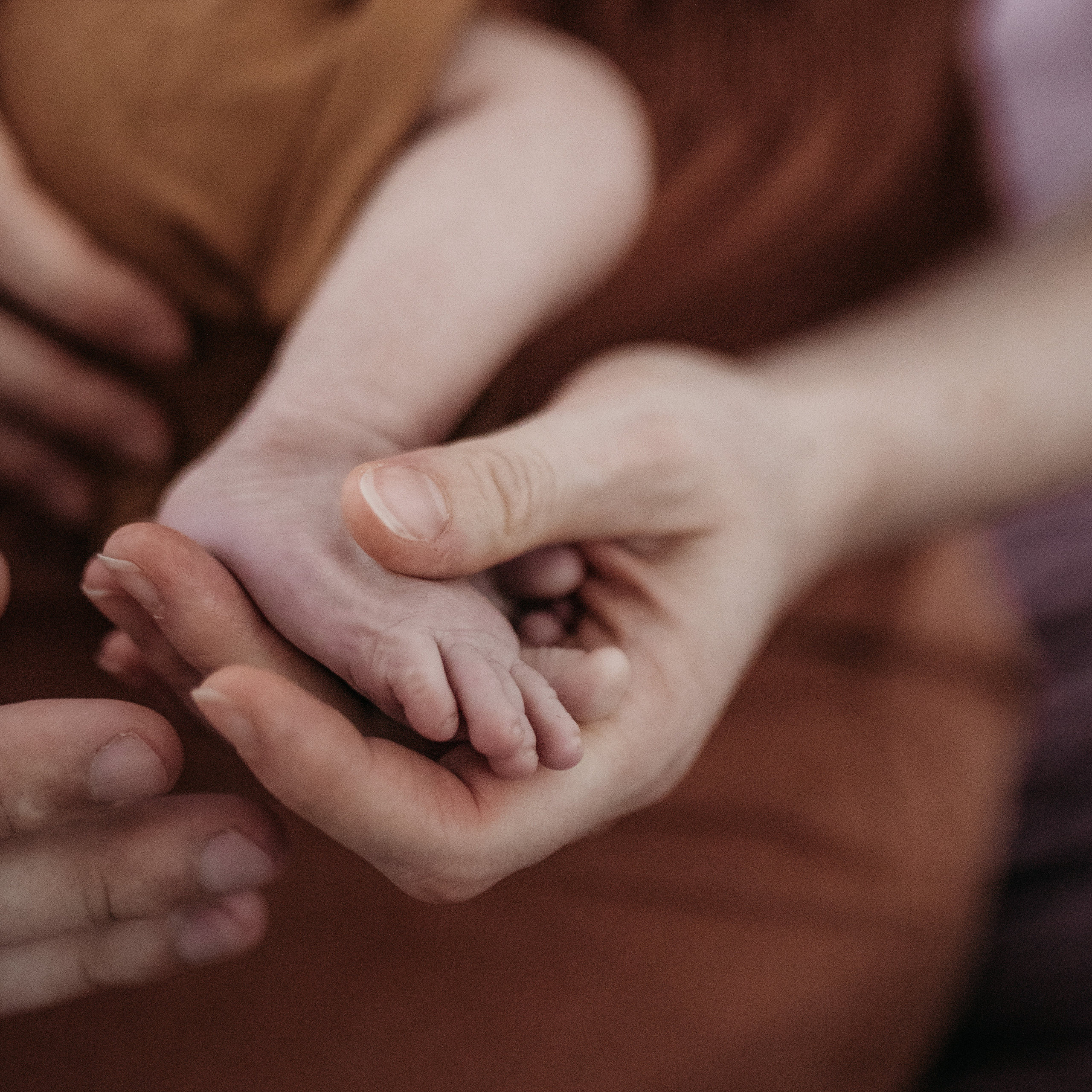 Beste Fotografin. Hochzeitsfotograf und Familienfotograf in Neustadt an der Weinstraße, Haßloch, Ludwigshafen, Speyer und Landau - Ekaterina Seoud