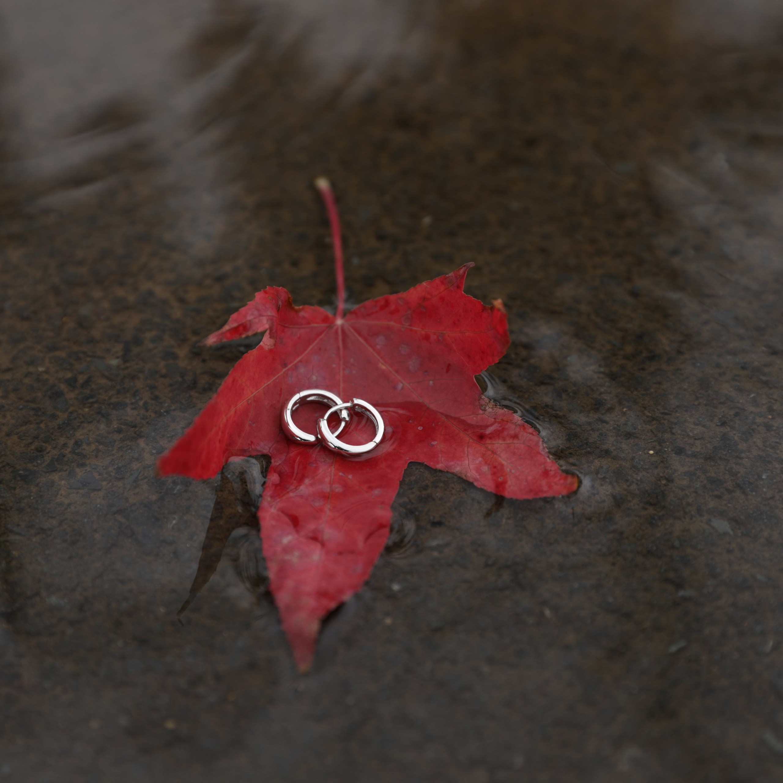 Business Photography — Candid & Professional Brand Stories. Lifestyle & Documentary Photography in Bristol, Bath & London — def0cused