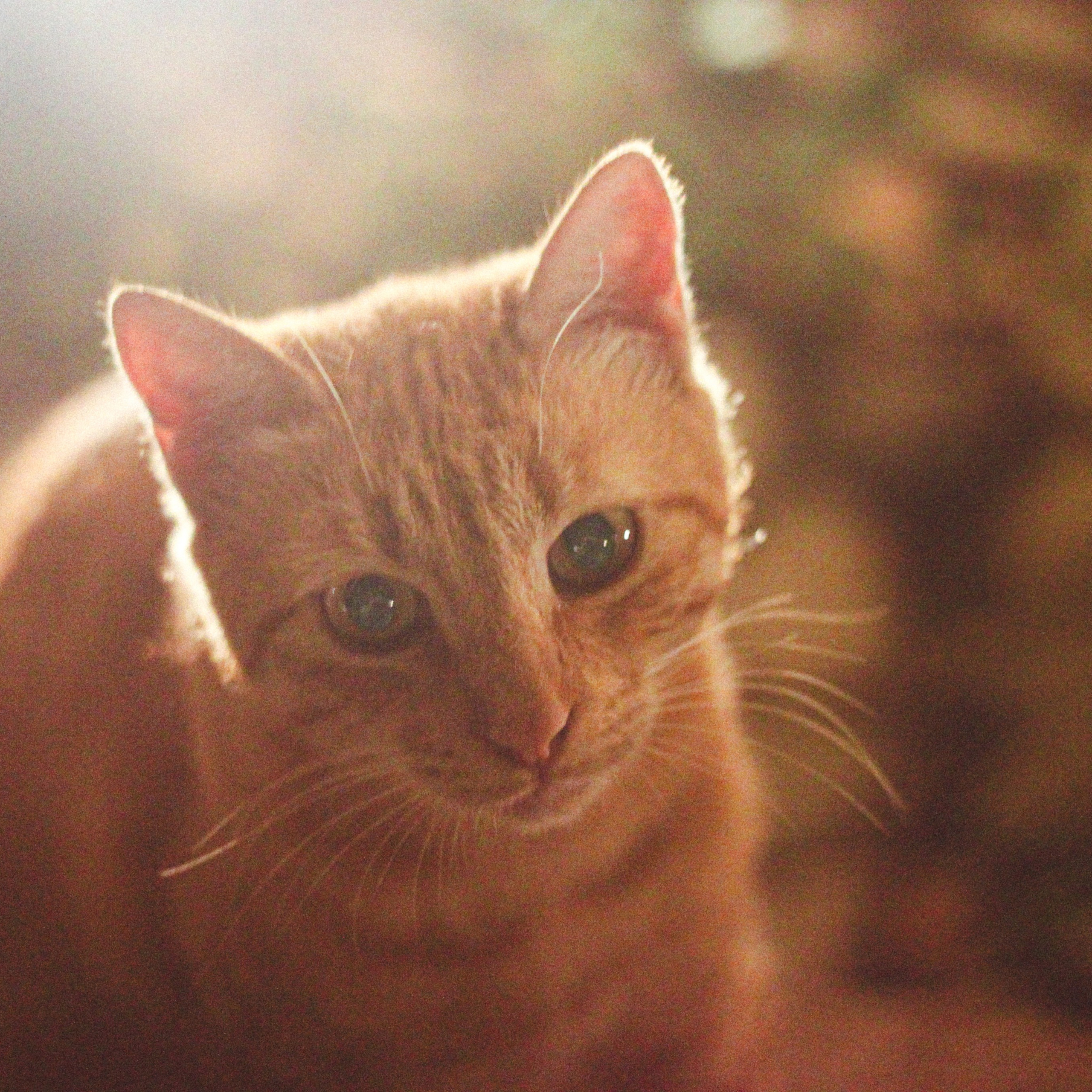 Documentary Photography & Film — Real Life, Unfiltered. Lifestyle & Documentary Photography in Bristol, Bath & London — def0cused