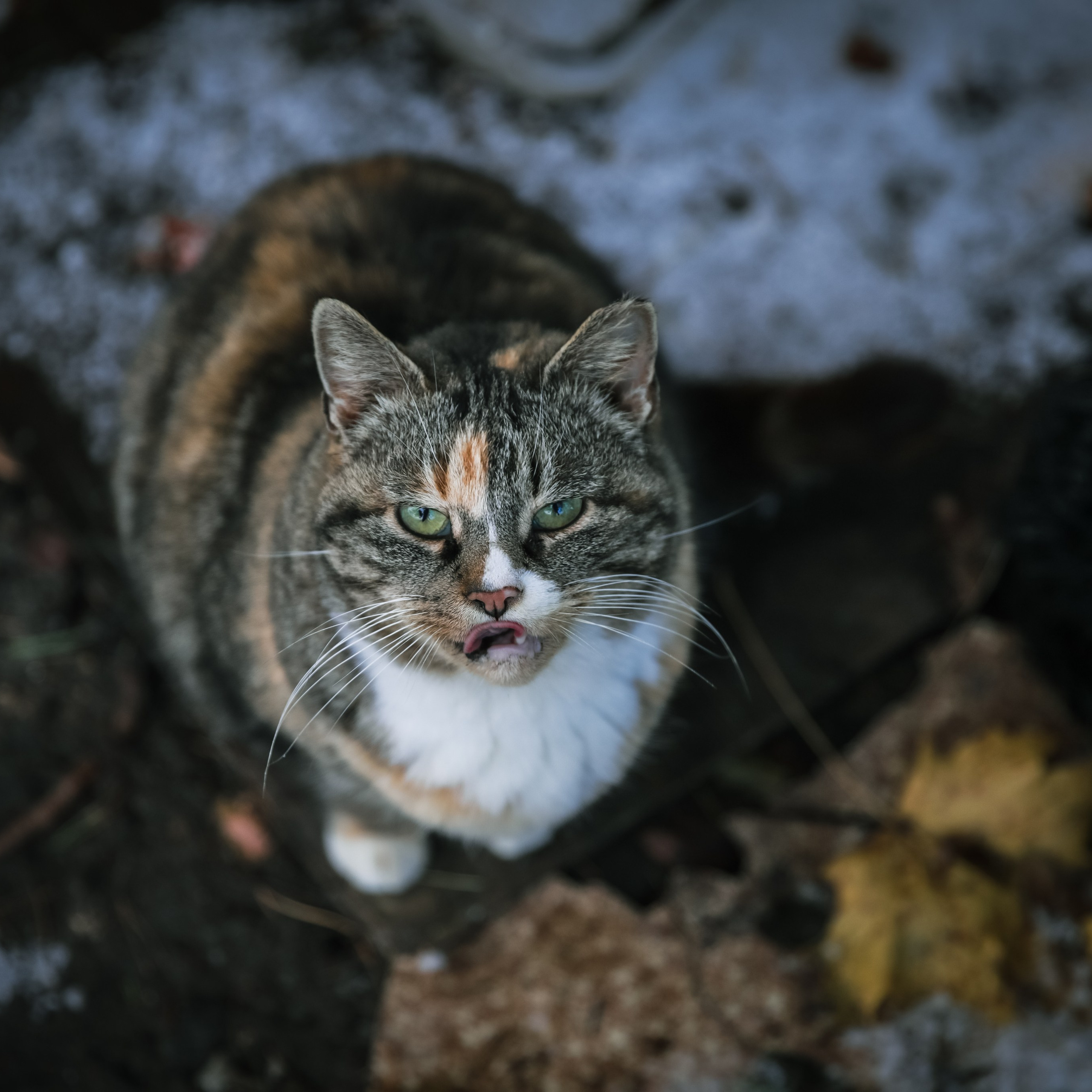 Documentary Photography & Film — Real Life, Unfiltered. Lifestyle & Documentary Photography in Bristol, Bath & London — def0cused