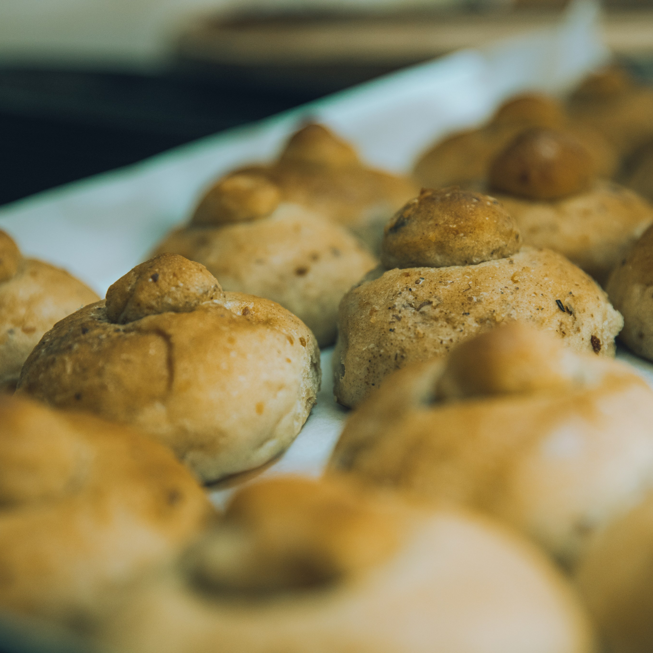 Greta & Sandra. Lifestyle & Documentary Photography in Bristol, Bath & London — def0cused