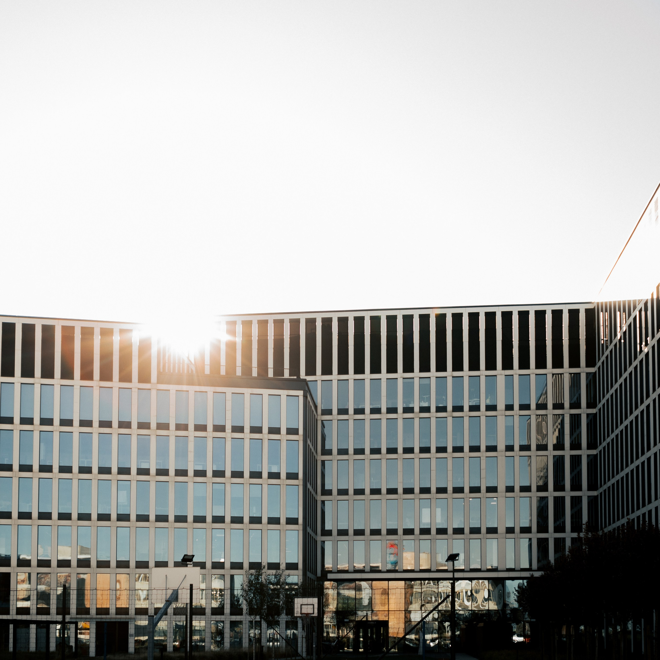 Korporacja JLL. Reportaż