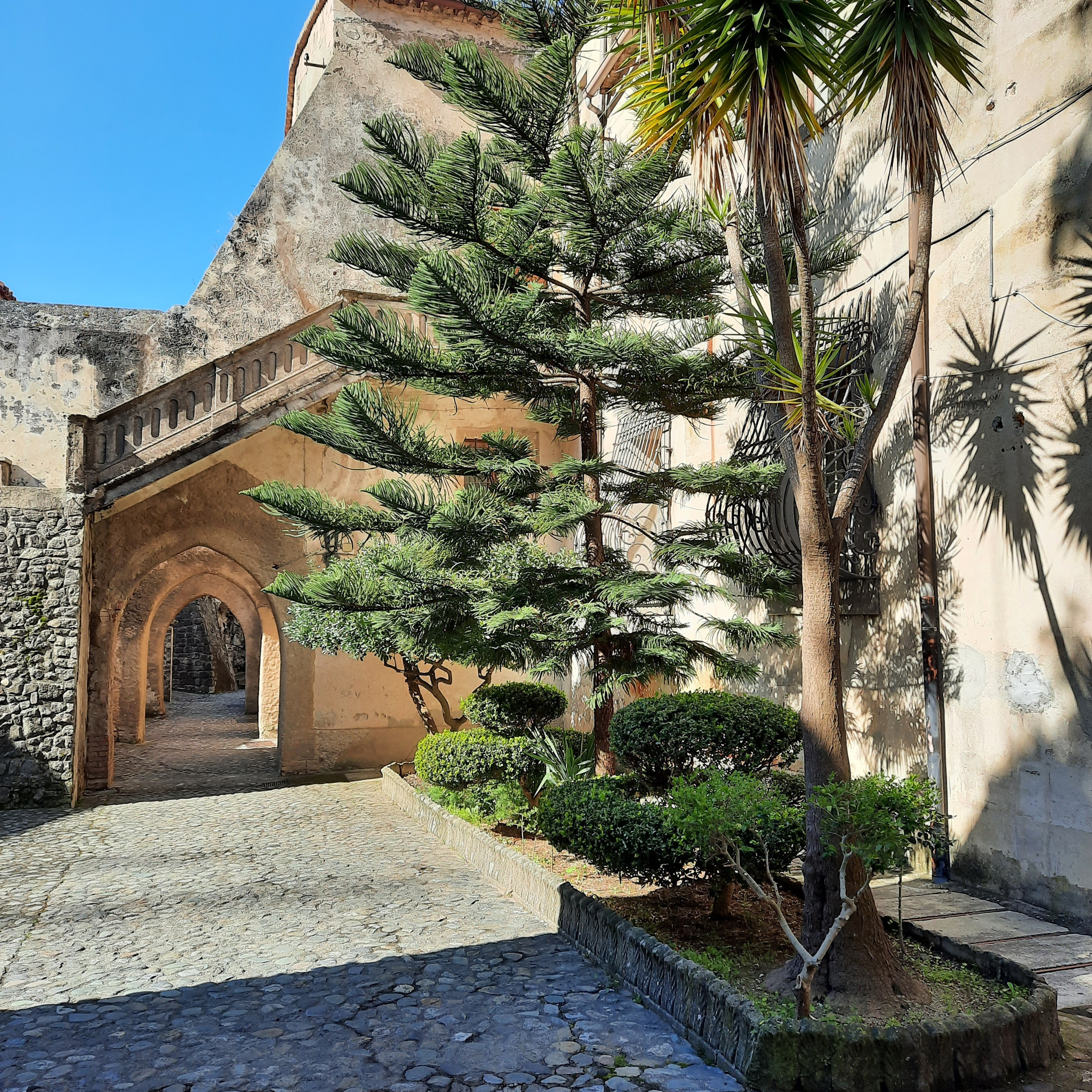 Отзывы. Фотограф в Неаполе