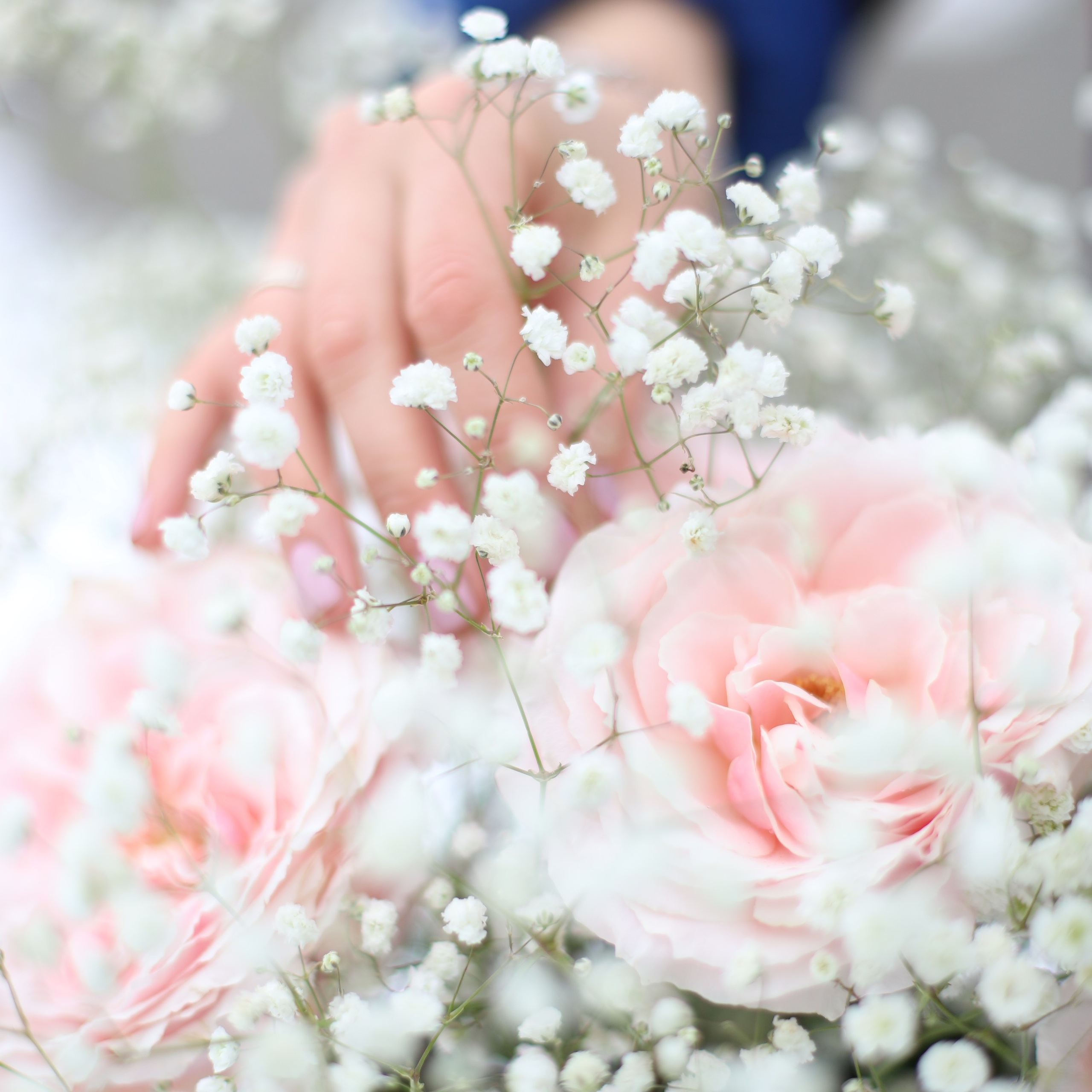 Гости. Apartmen 365