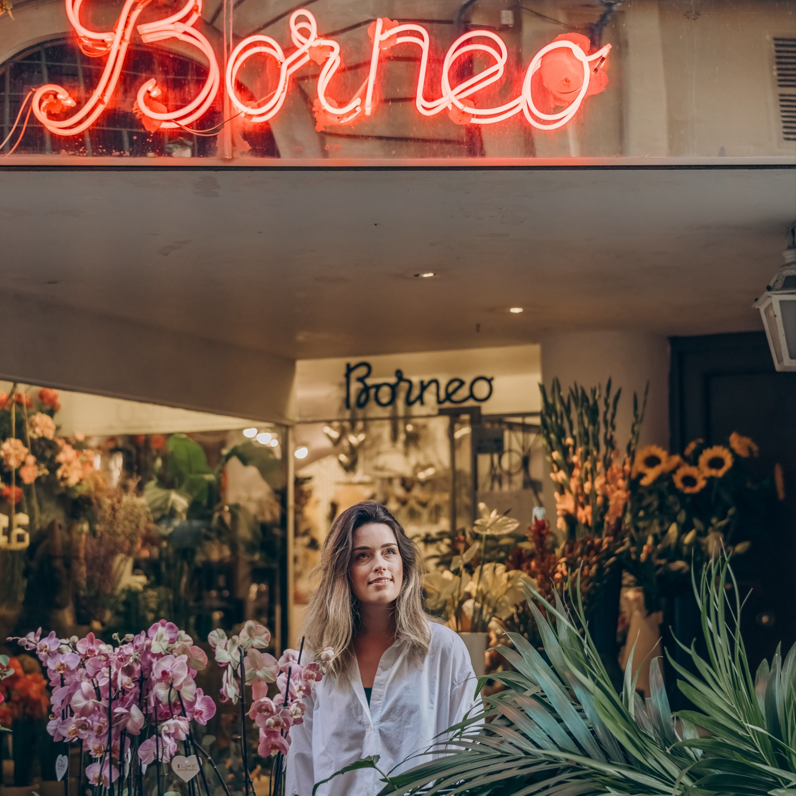 Your ease in Palma de Mallorca