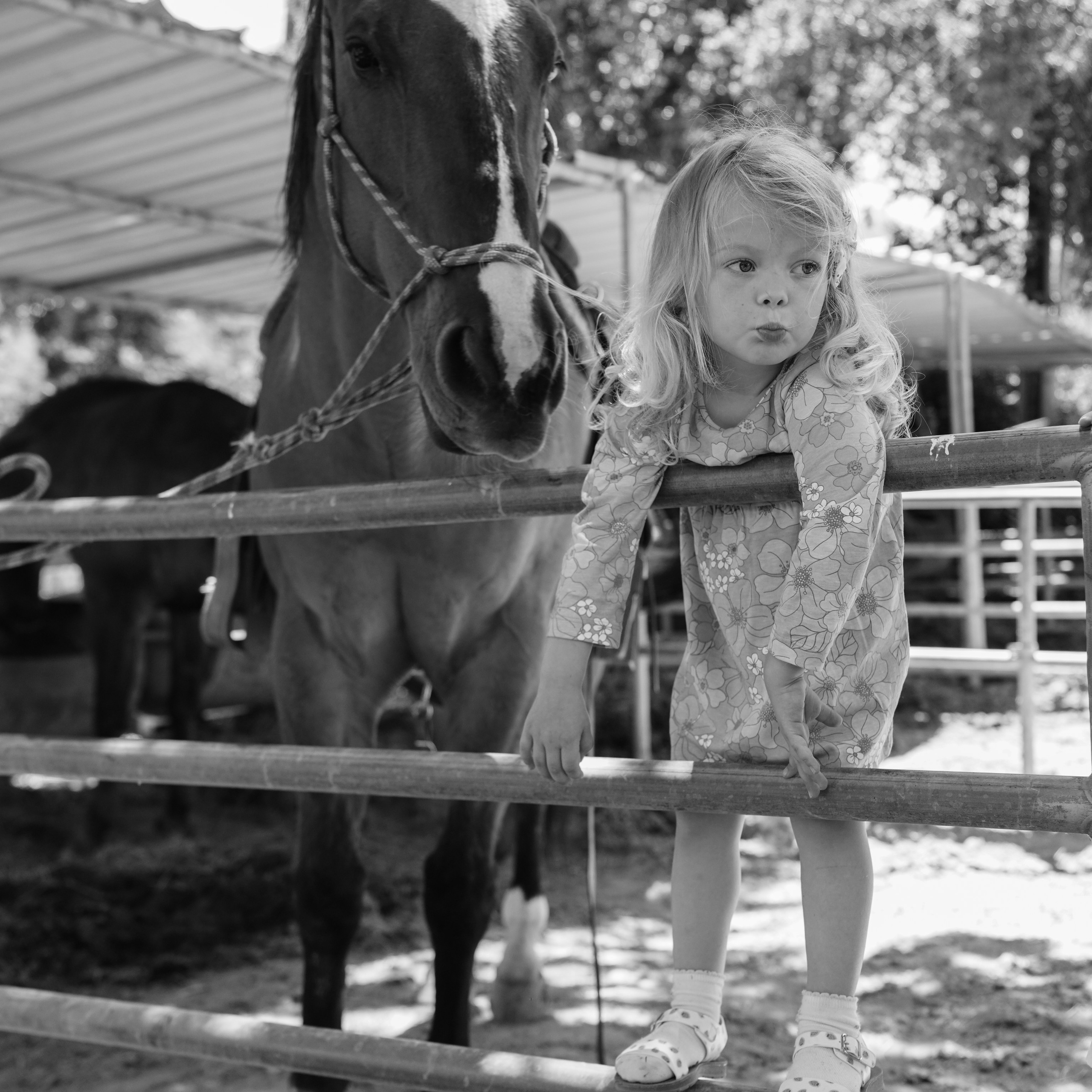 Children with horses