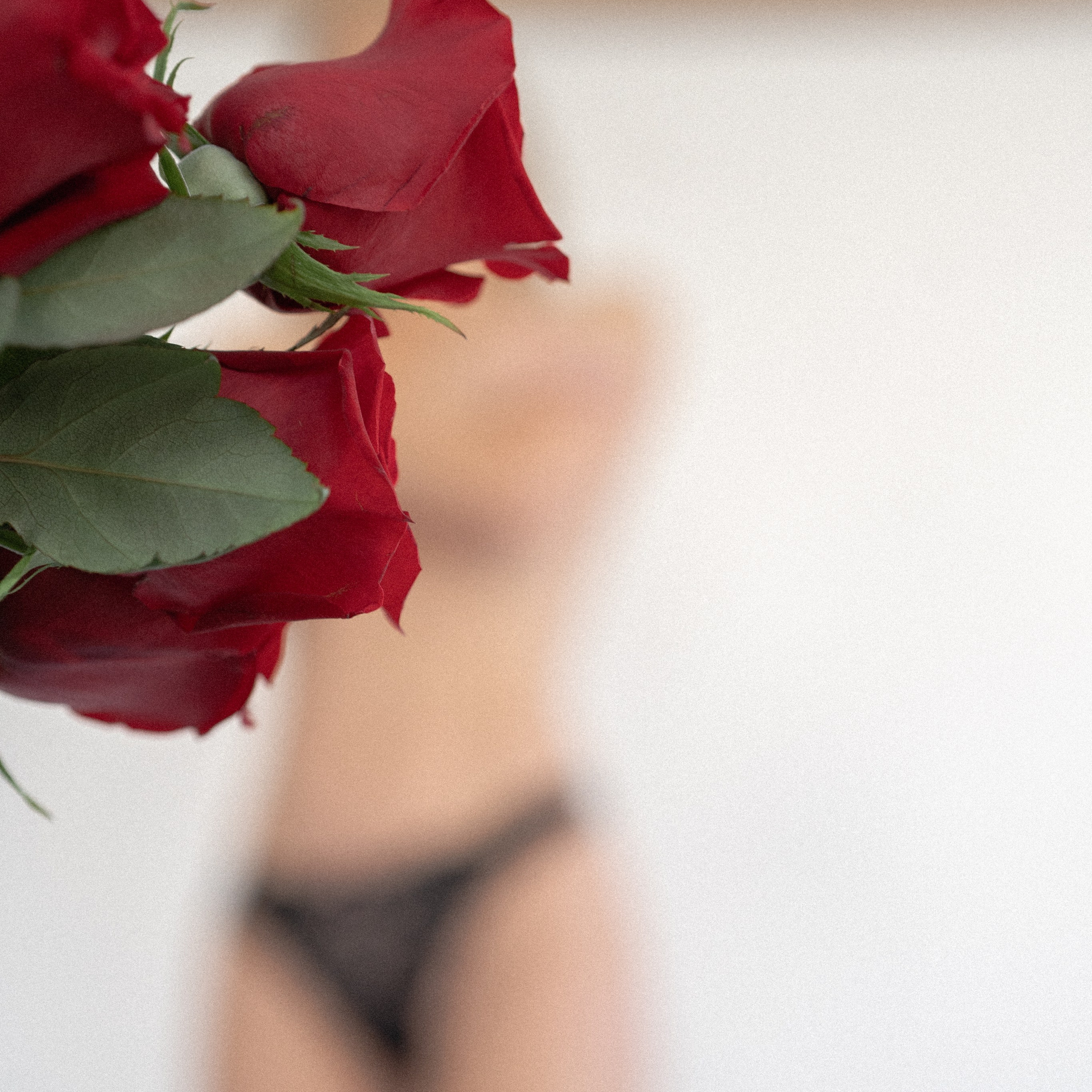 Ekaterina’s Birthday shoot in studio