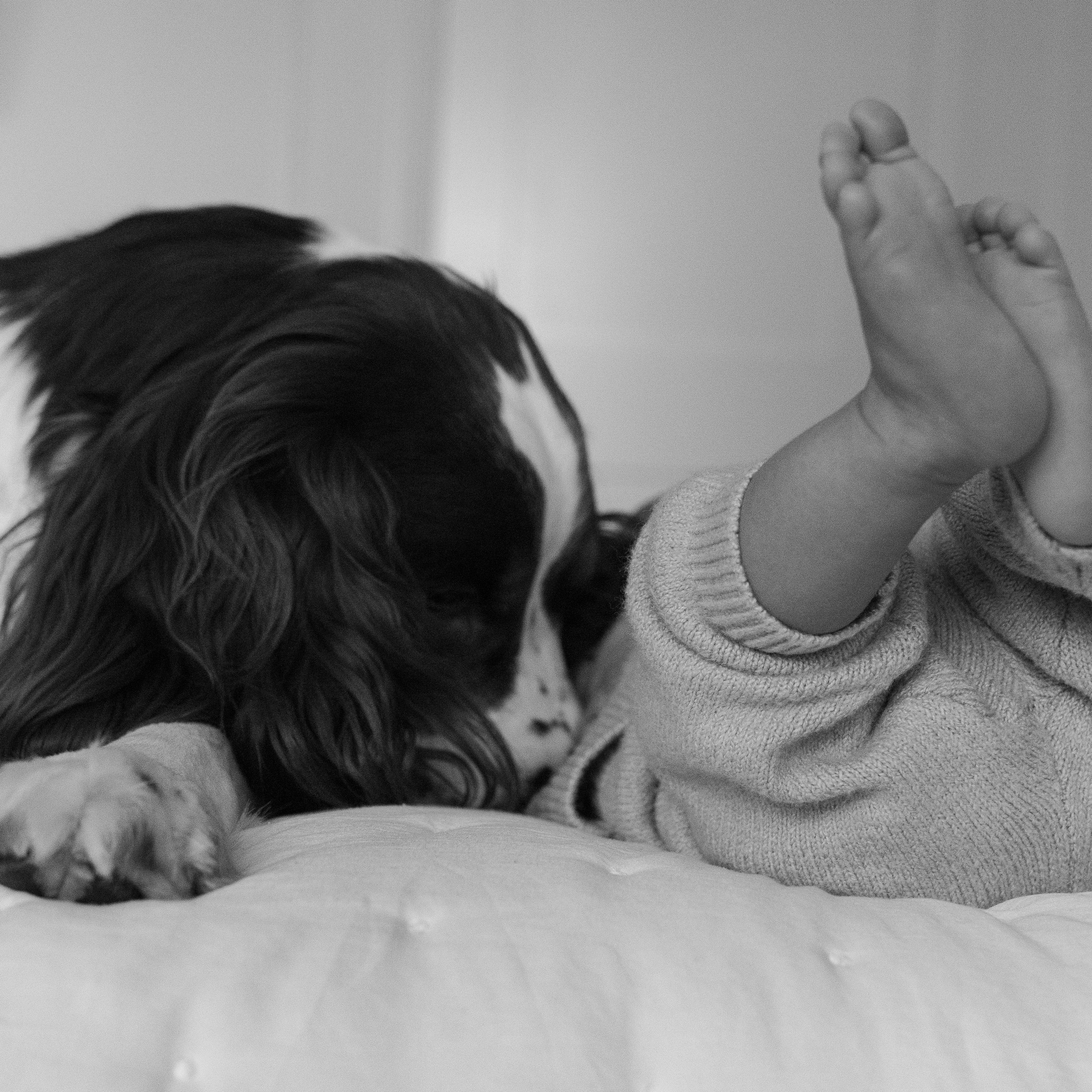Newborn Shoot. Baby Boy Lucas