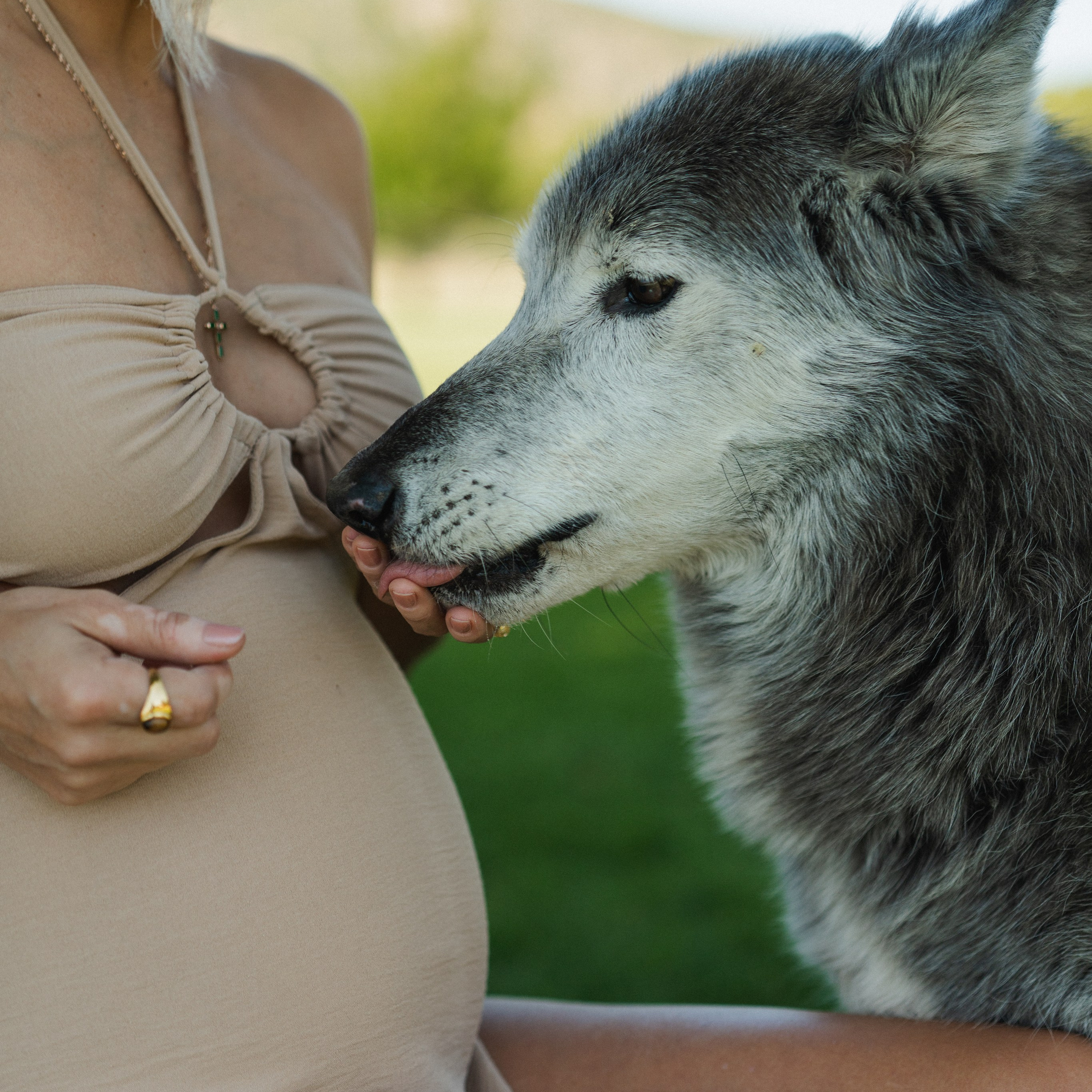 Kristina and Baby Wolf. Pregnancy Photoshoot