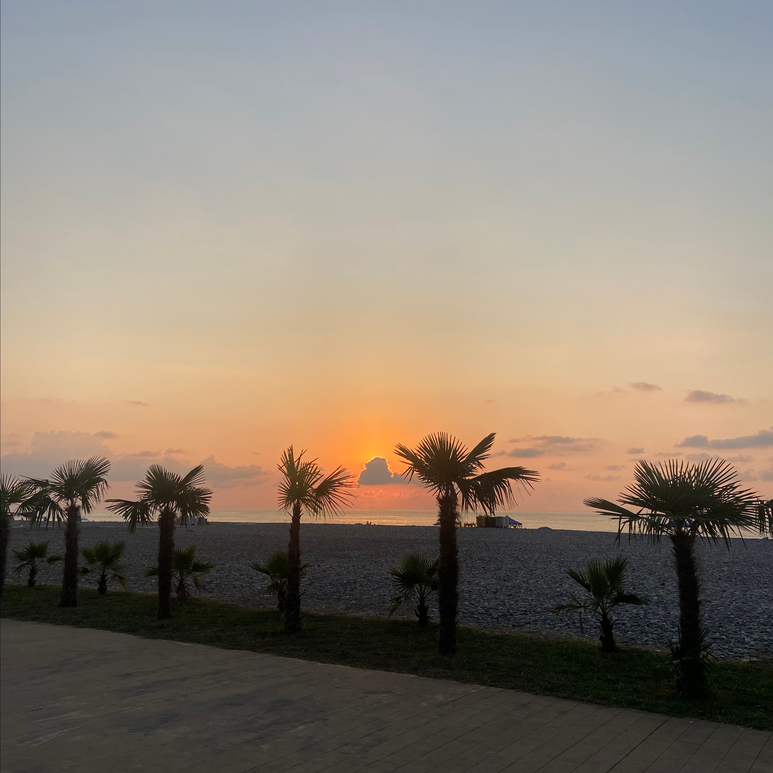 Отзывы. Wedding and portrait photographer in Beograd Ekaterina Makedonskaya