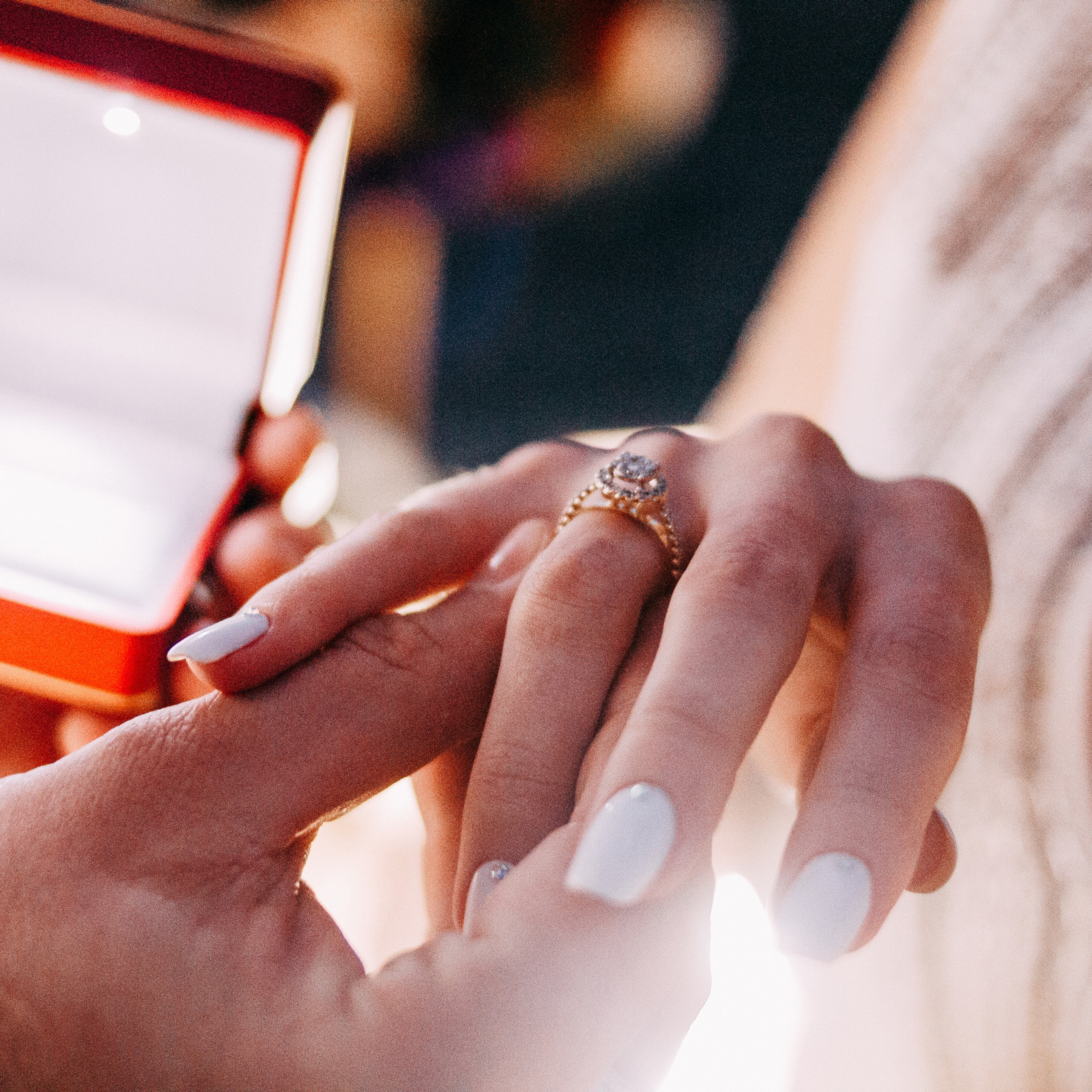 Отзывы. Wedding and portrait photographer in Beograd Ekaterina Makedonskaya