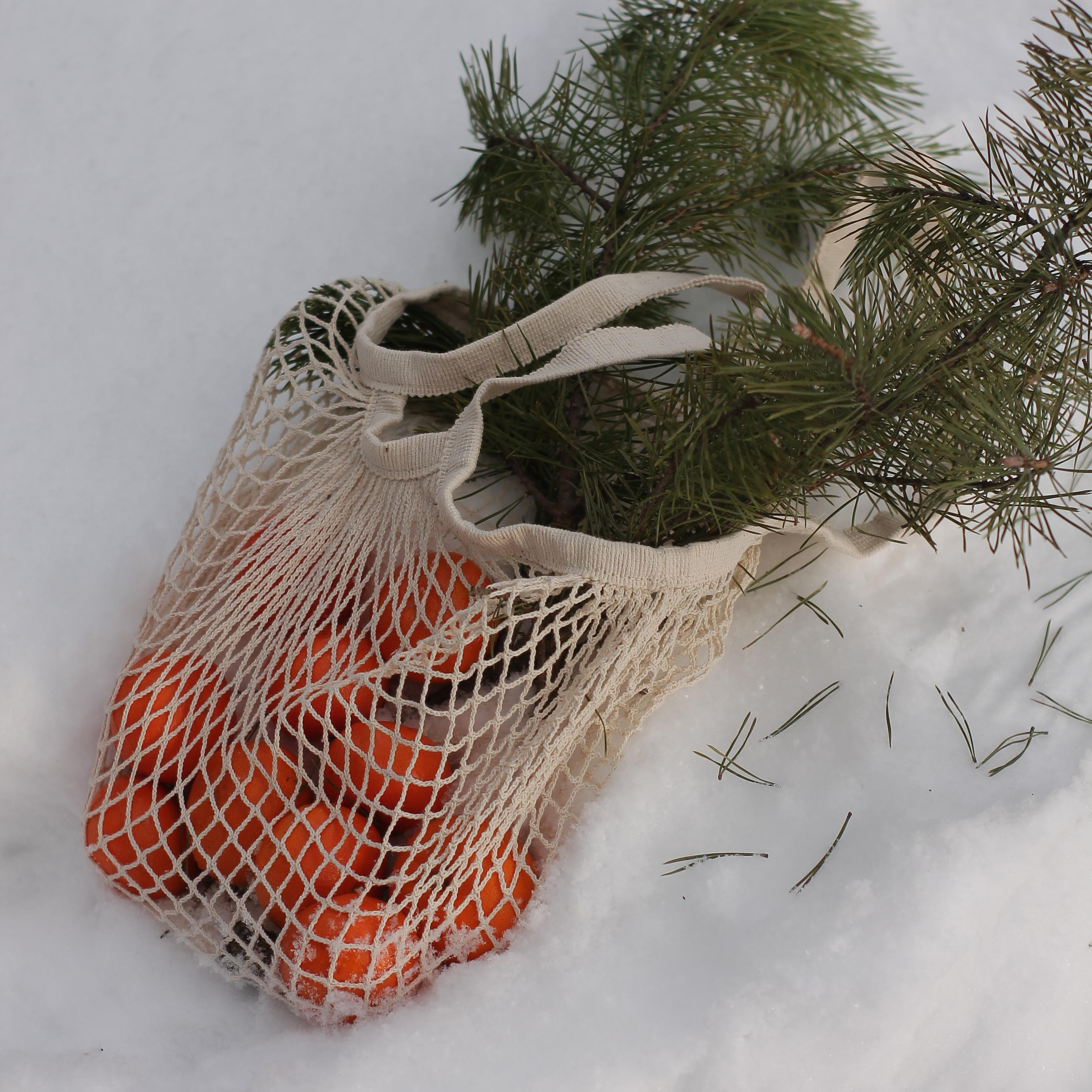 Отзывы. Wedding and portrait photographer in Beograd Ekaterina Makedonskaya