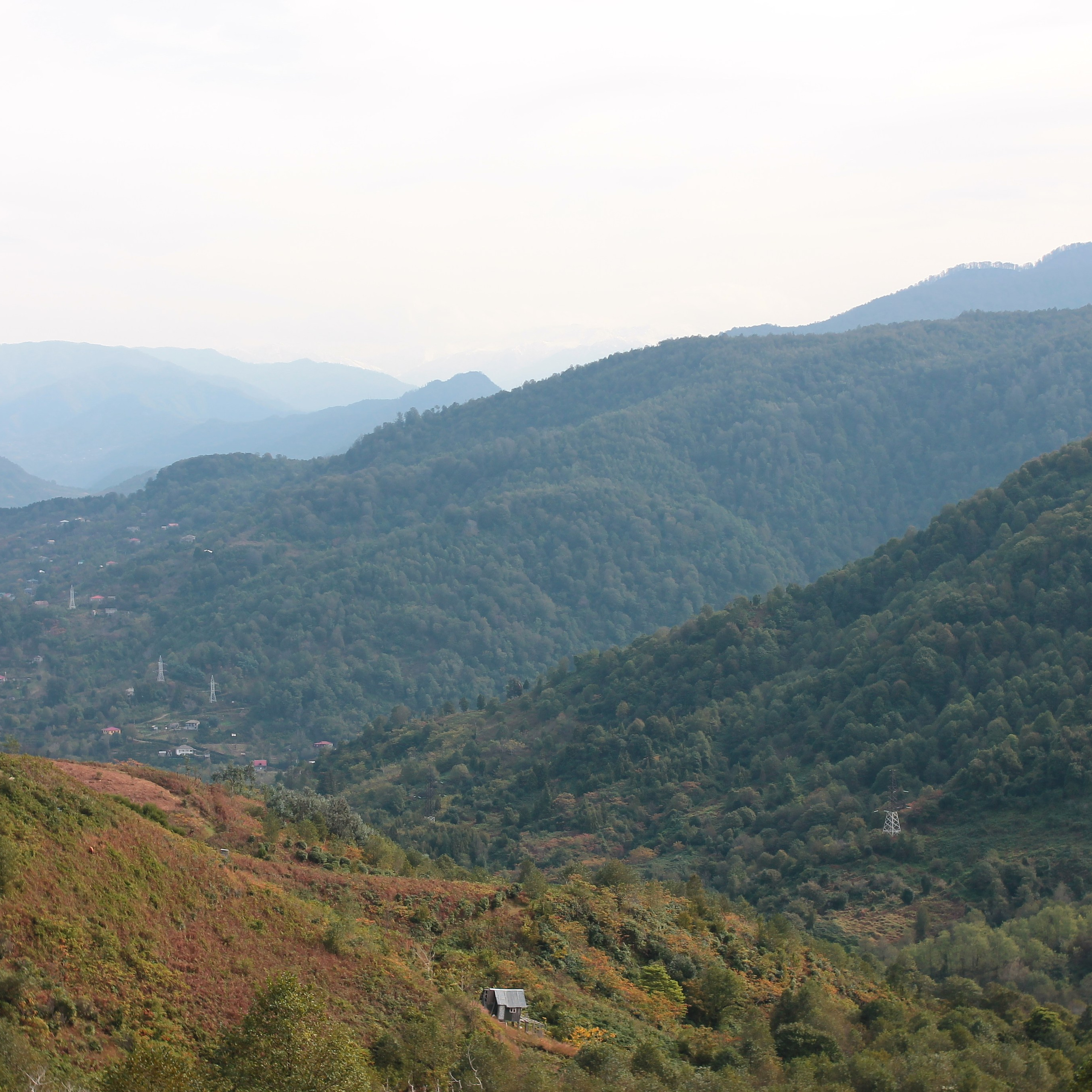 Отзывы. Wedding and portrait photographer in Beograd Ekaterina Makedonskaya