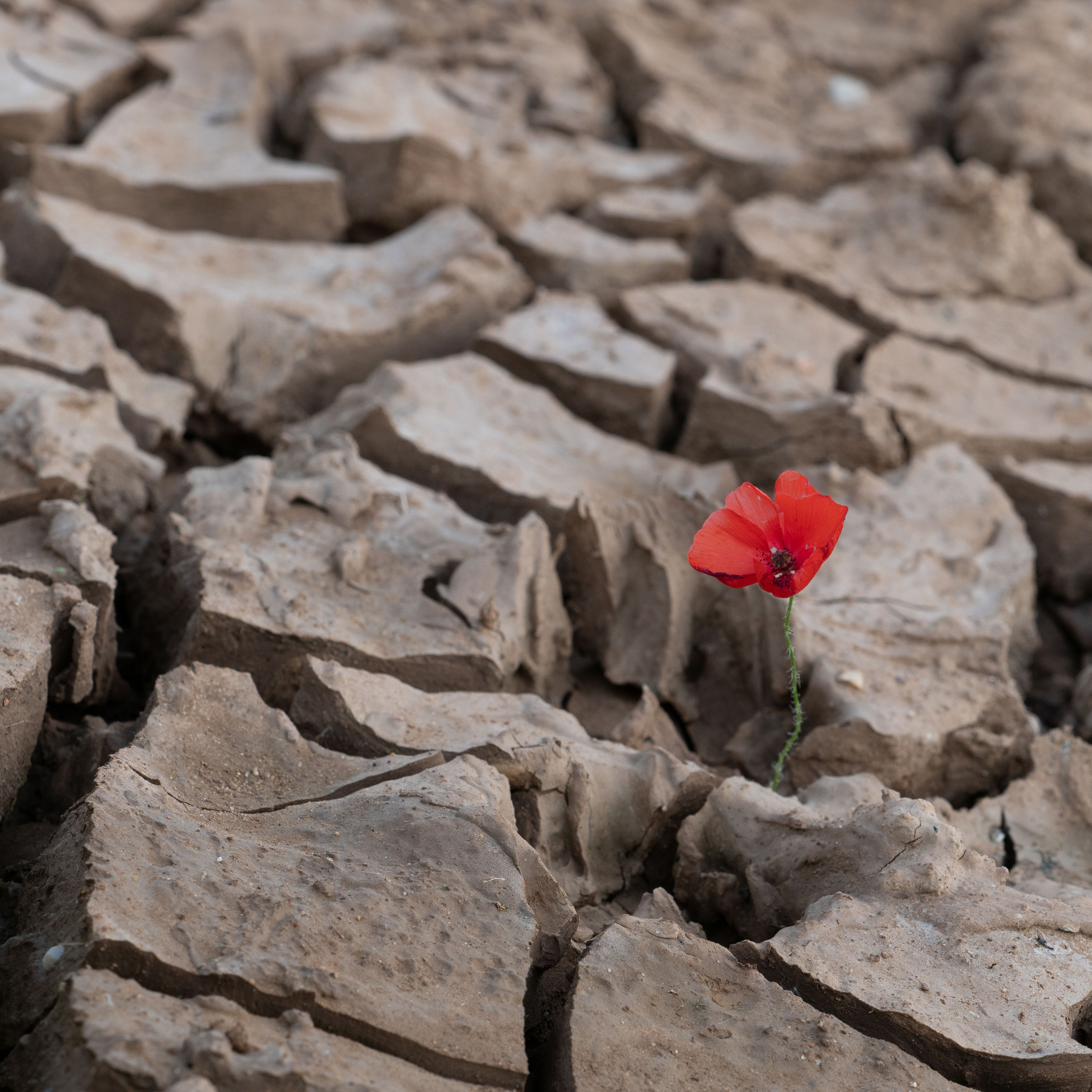Gallery Paisajismo. Fotógrafa de Periodismo y Documentación, Teatro, Cine, Shooting para Modelos, Bodas, Bautizos, Comuniones, Familia y Eventos