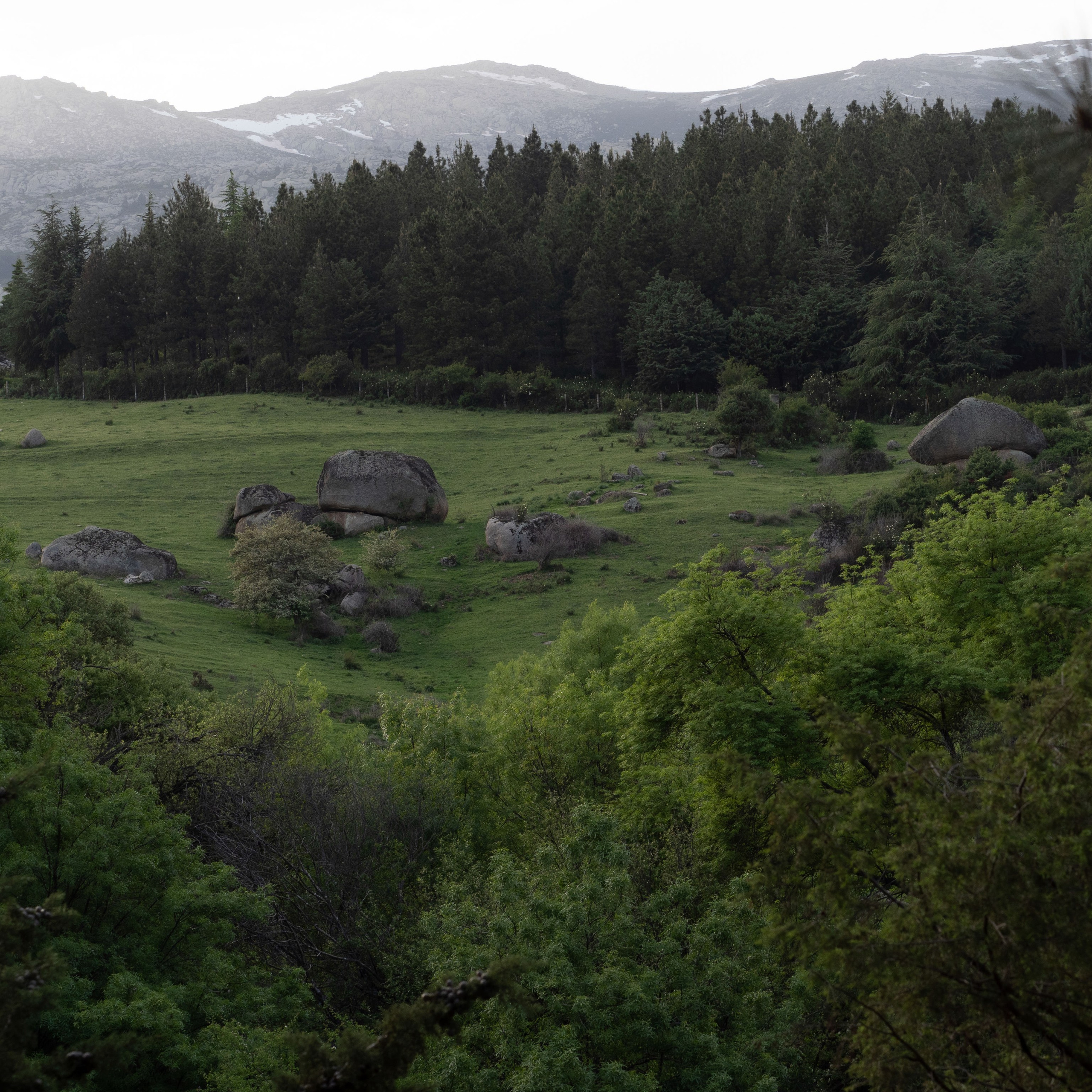 Gallery Paisajismo. Fotógrafa de Periodismo y Documentación, Teatro, Cine, Shooting para Modelos, Bodas, Bautizos, Comuniones, Familia y Eventos