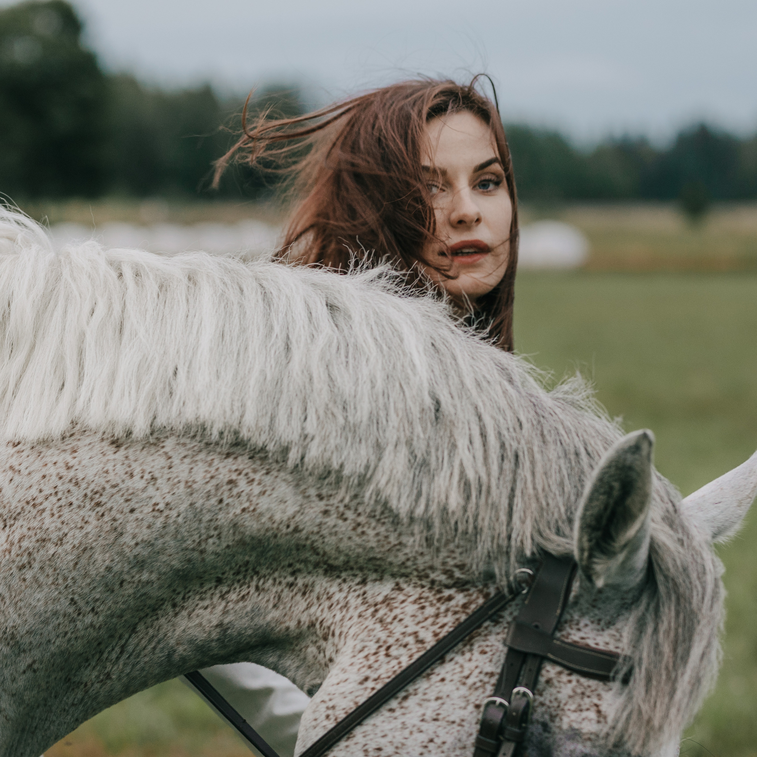 The Taming of the Shrew