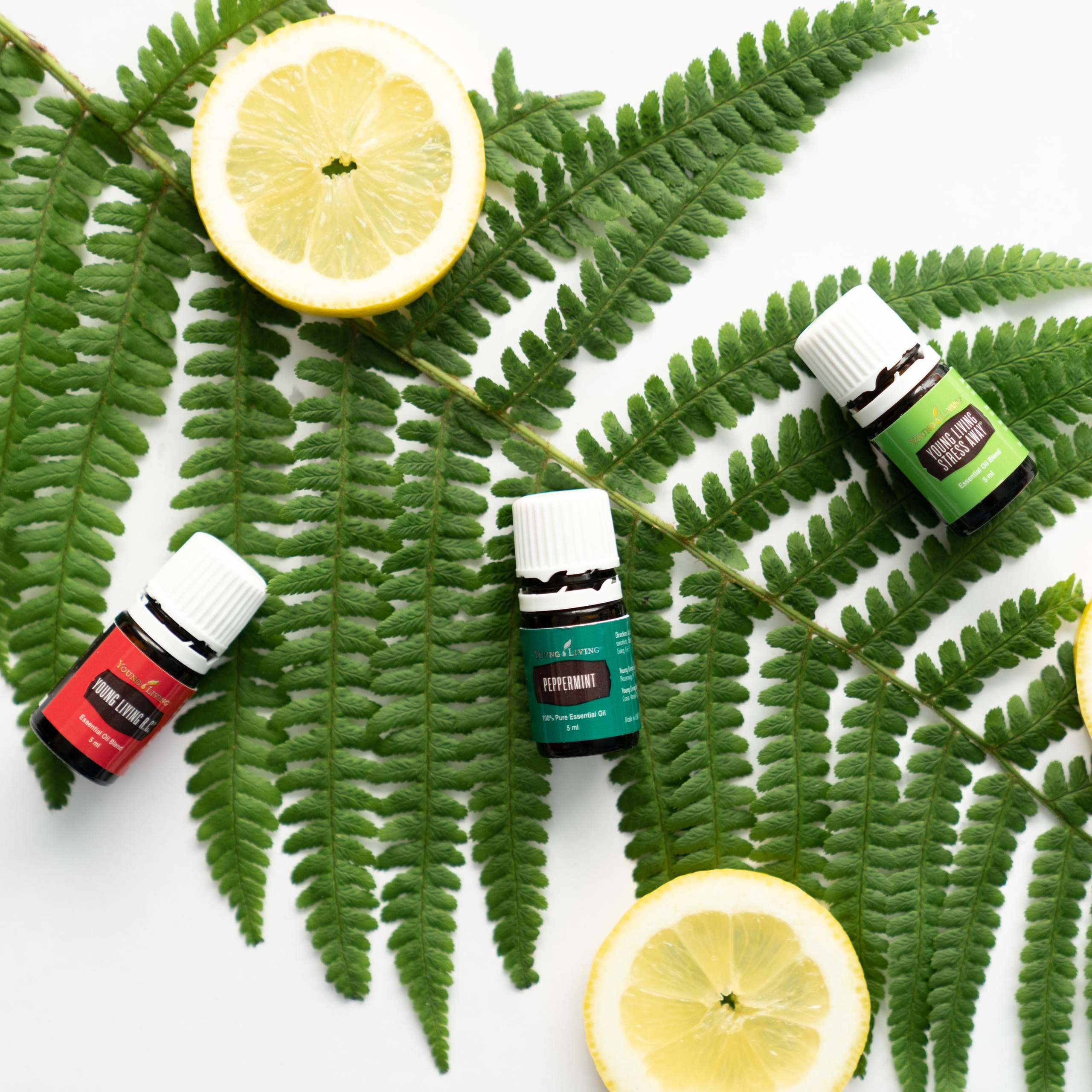 Aromapraktiker. Fotoshooting Hannover Region, Bremen, Hamburg Fotograf - Natalia Mruck