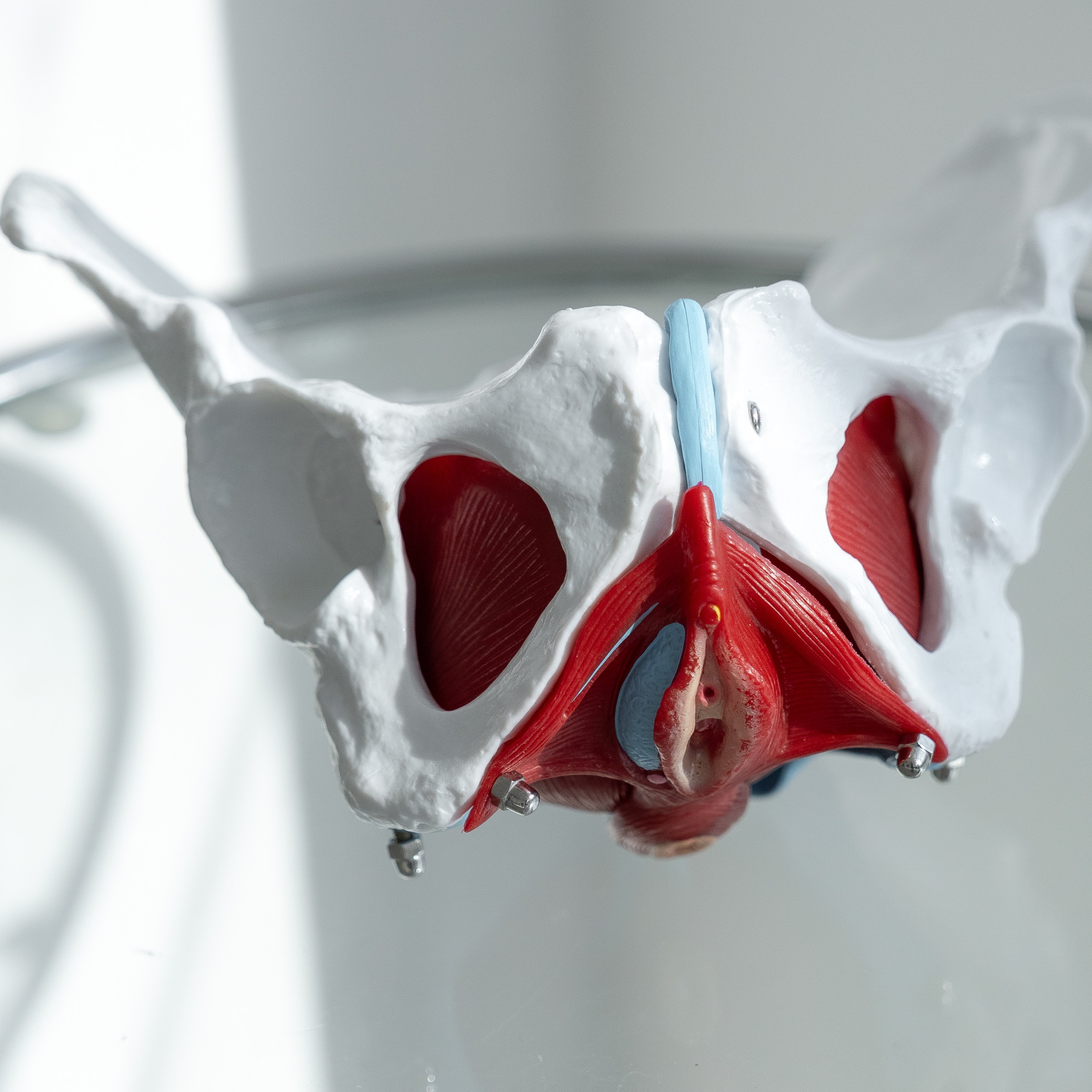 Feedback. Fotoshooting Hannover Region, Bremen, Hamburg Fotograf - Natalia Mruck