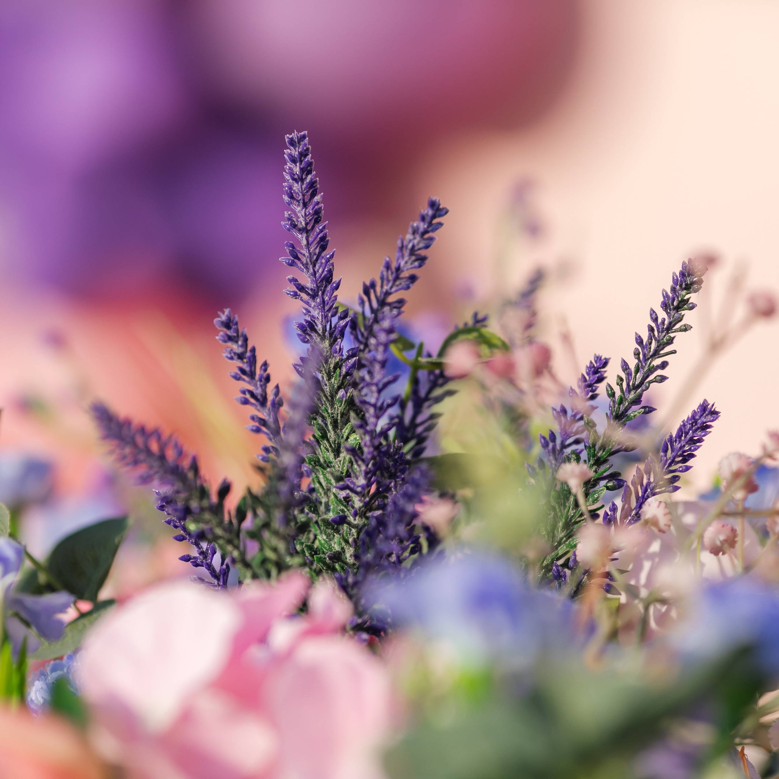 Testimonials. Портретний та весільний фотограф Надія Онода