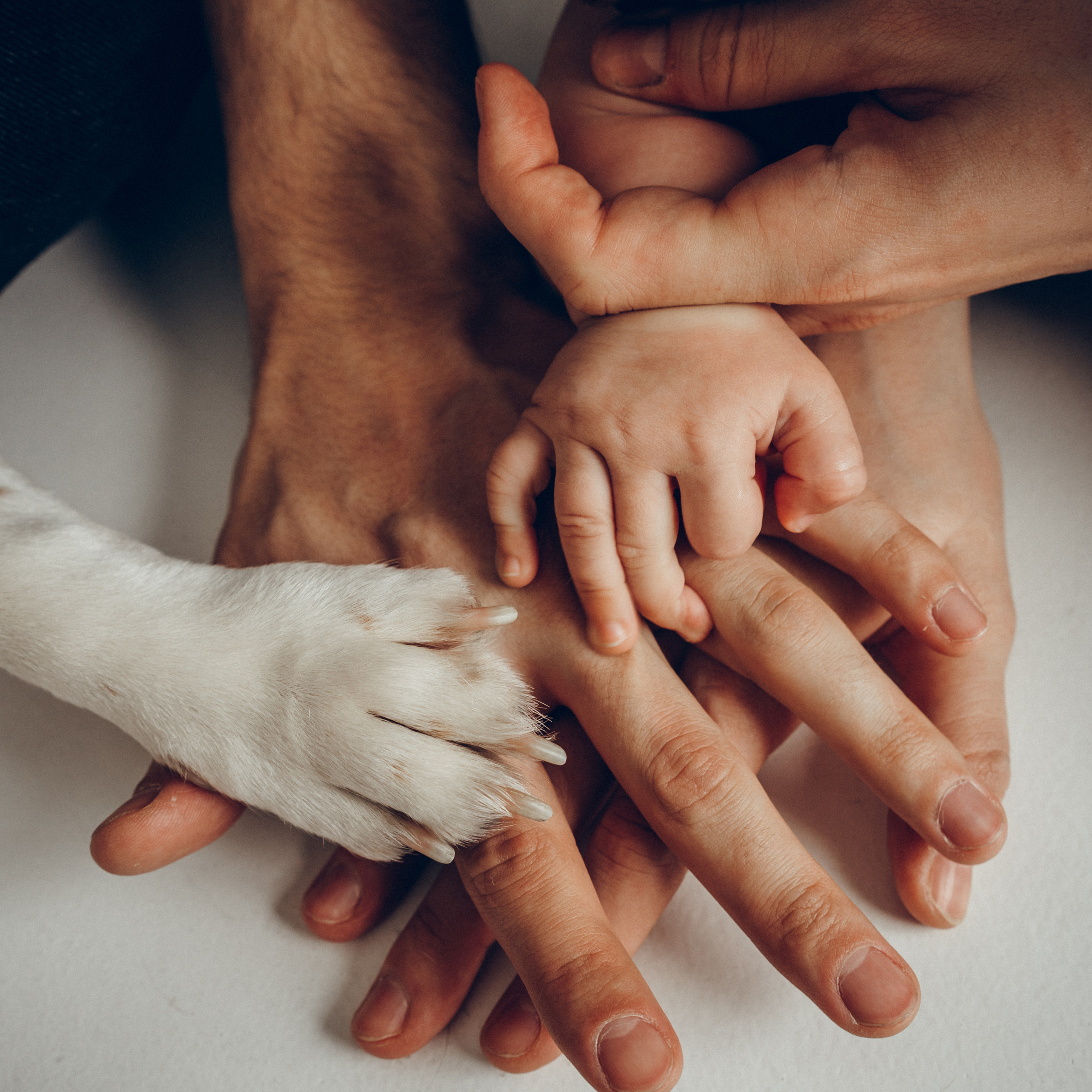 Студийная семейная