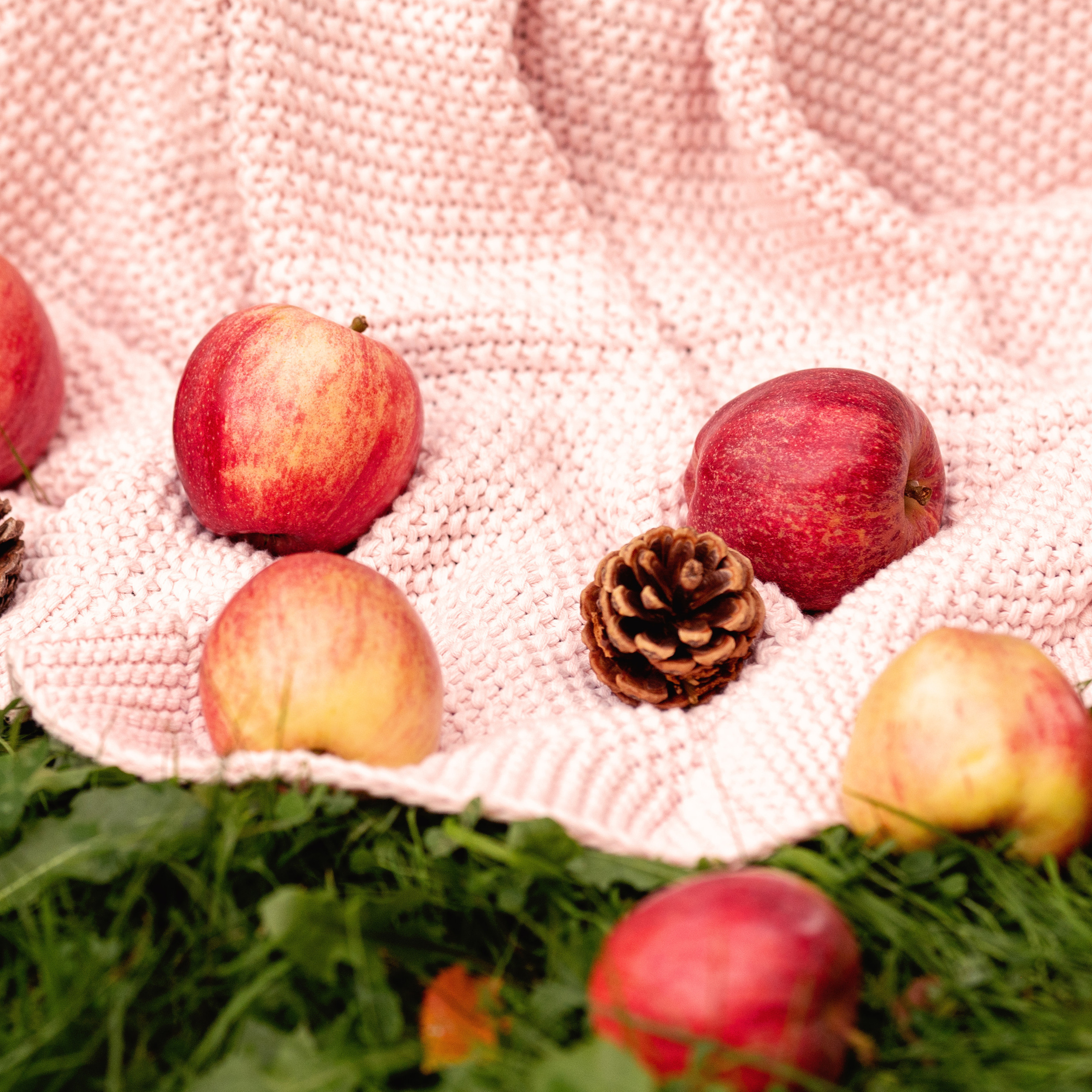 Anastasiafotografie Bewertungen, Photography by anastasia. Newbornfotograf Kinderfotograf Ulm Familienfotograf Anastasia Neu-Ulm