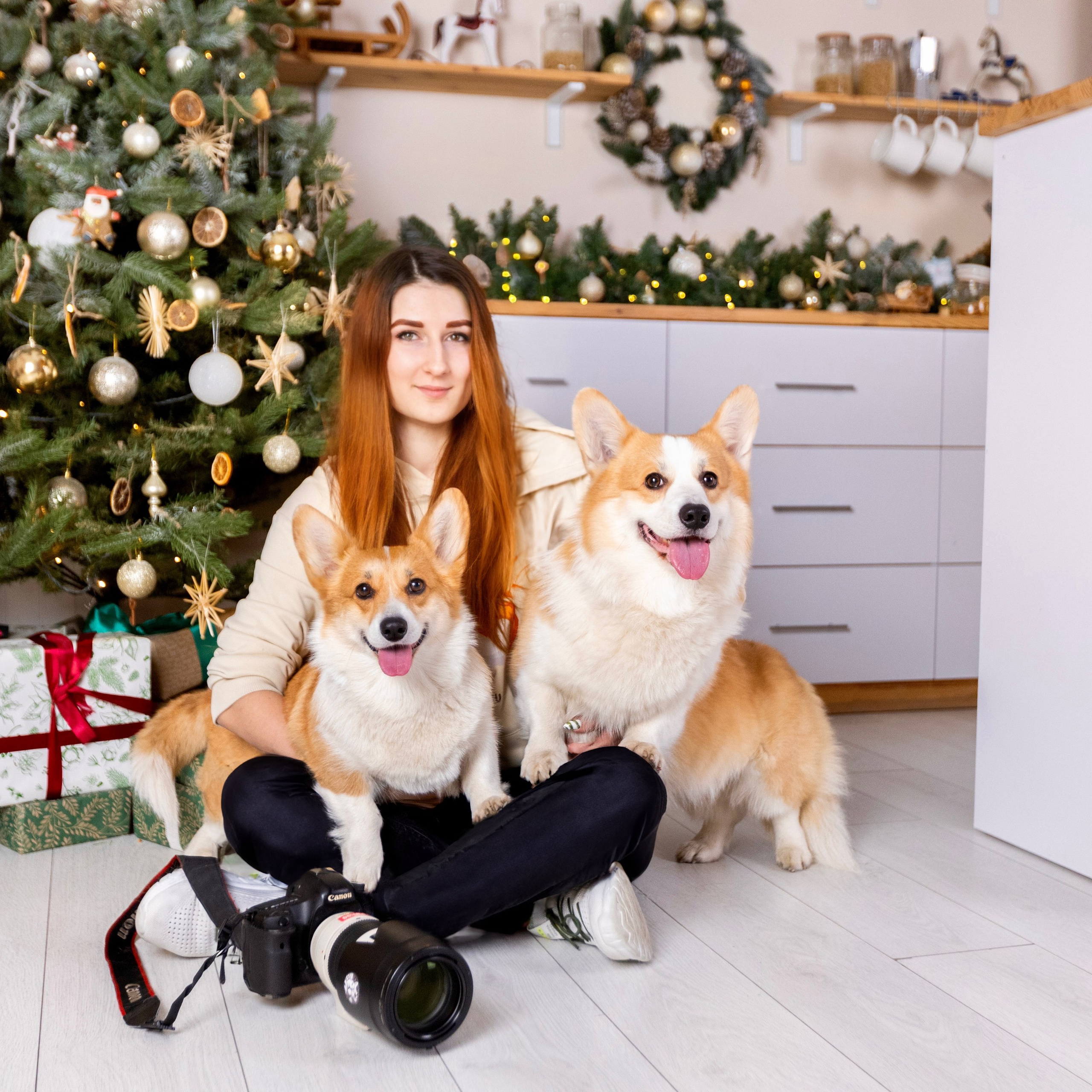Про мене. Репортажний фотограф/анімаліст КИЇВ