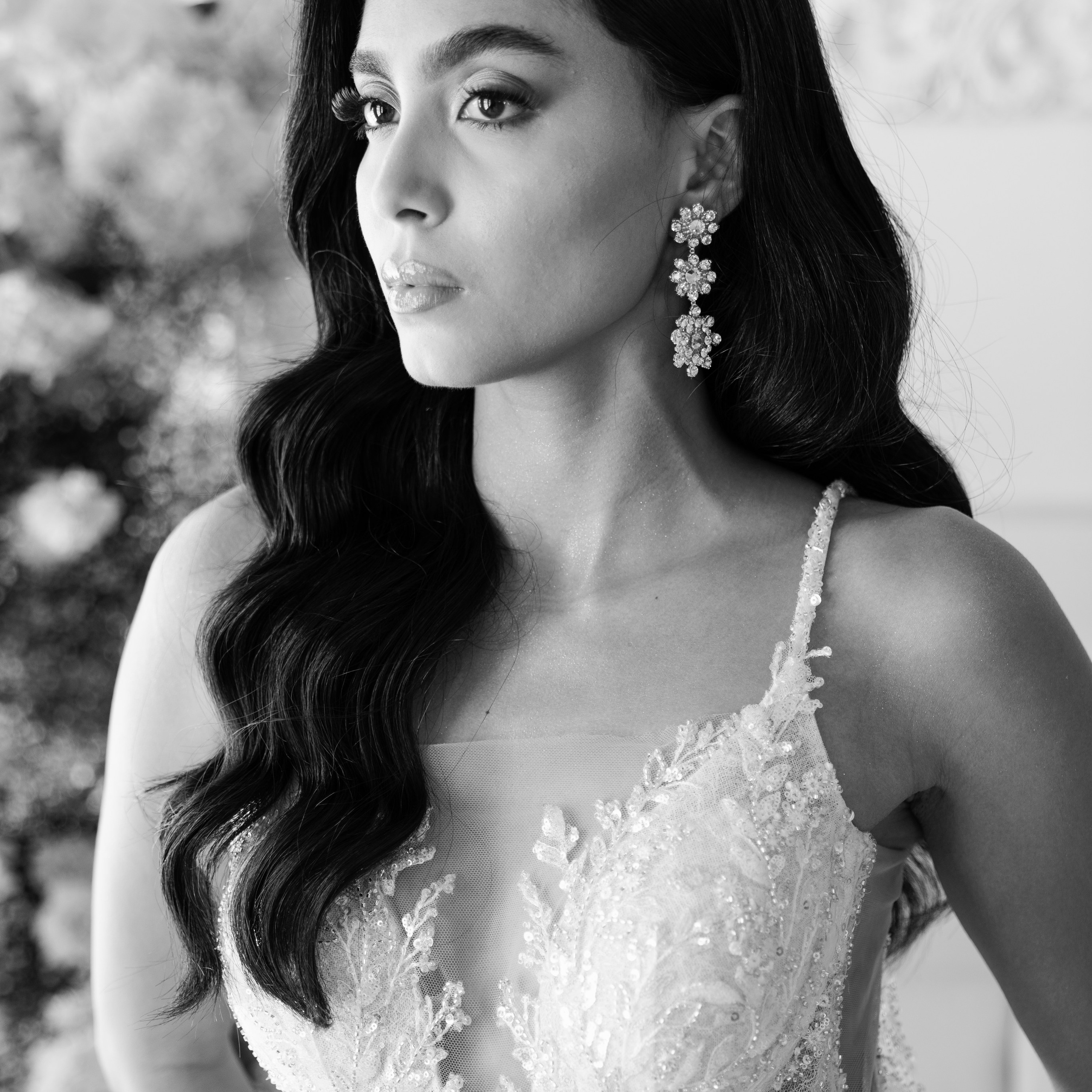 Novia Editorial